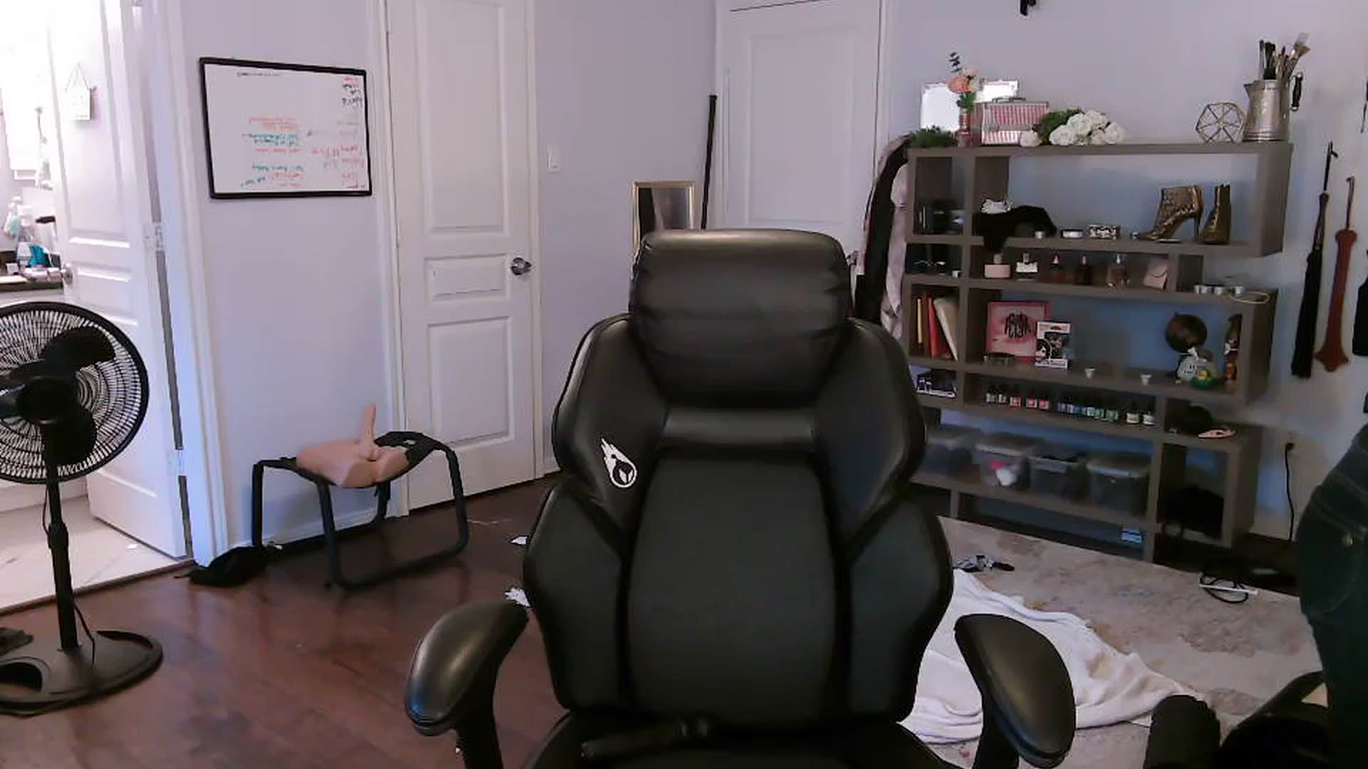 Gallery image thumbnail from Bunnydathug's myfreecams stream on, 10/20/2023, 13:28 image 16 of 20