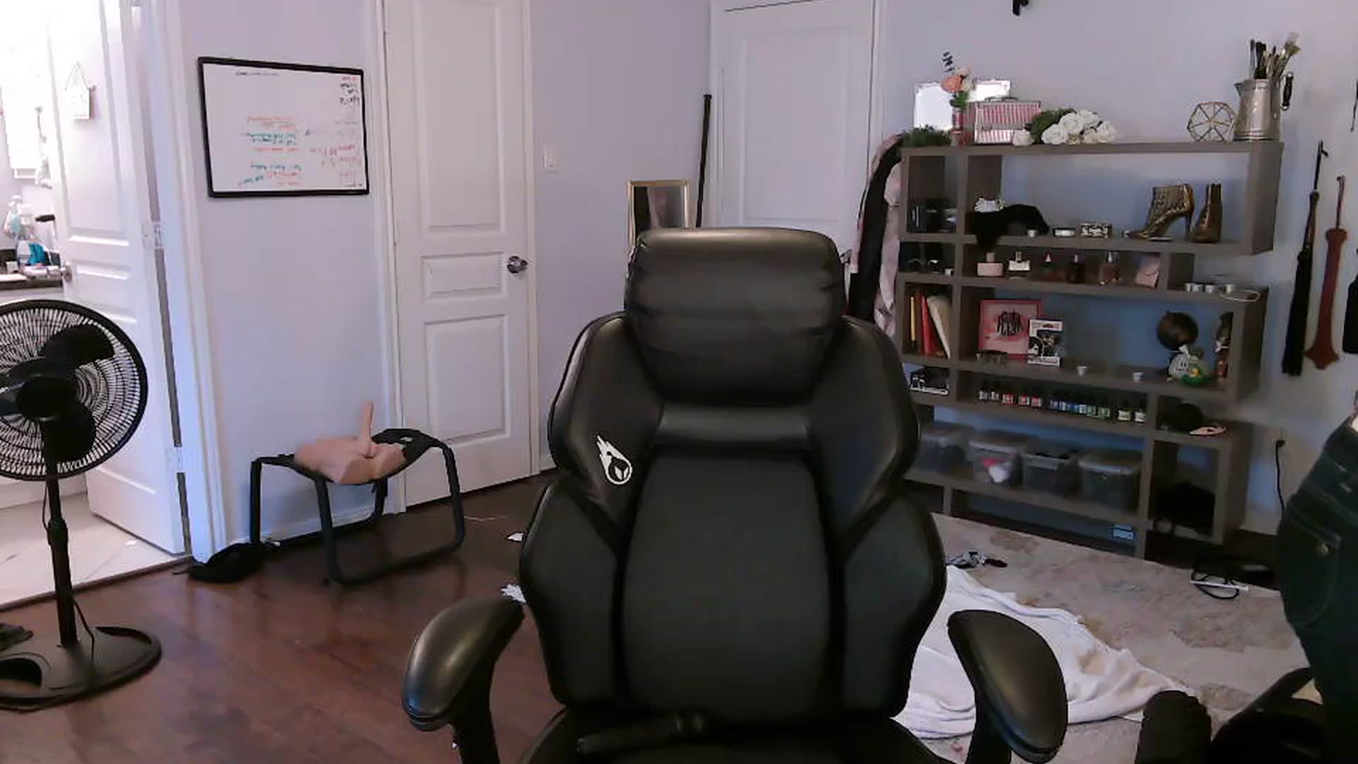 Gallery image thumbnail from Bunnydathug's myfreecams stream on, 10/20/2023, 13:28 image 17 of 20
