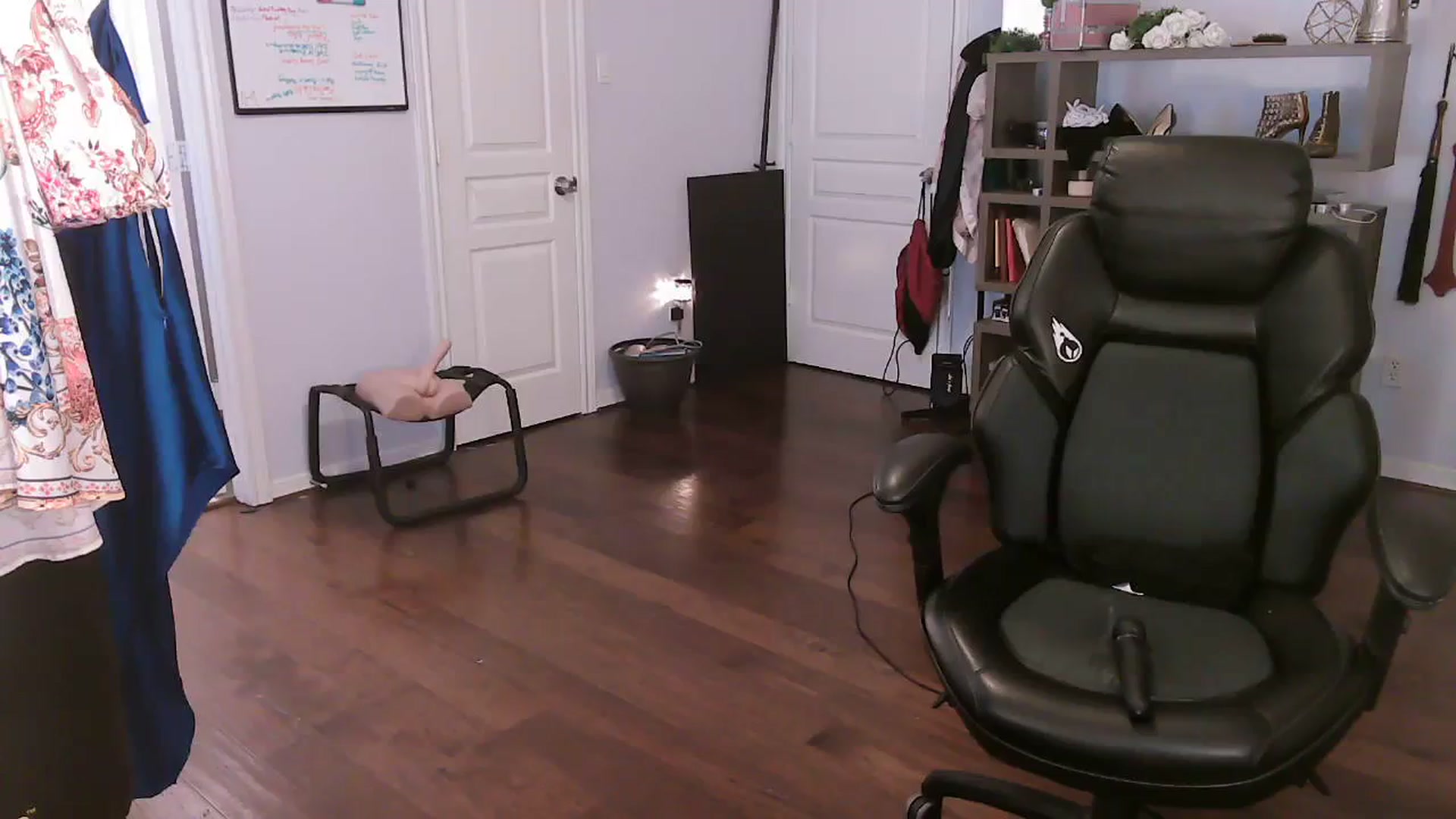 Gallery image thumbnail from Bunnydathug's myfreecams stream on, 10/29/2023, 20:08 image 14 of 20