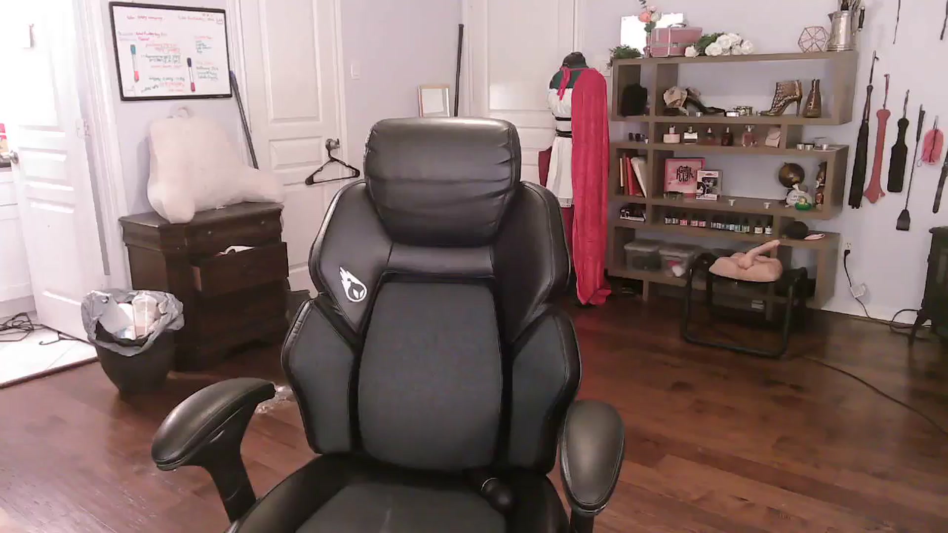 Gallery image thumbnail from Bunnydathug's myfreecams stream on, 11/09/2023, 12:01 image 7 of 20
