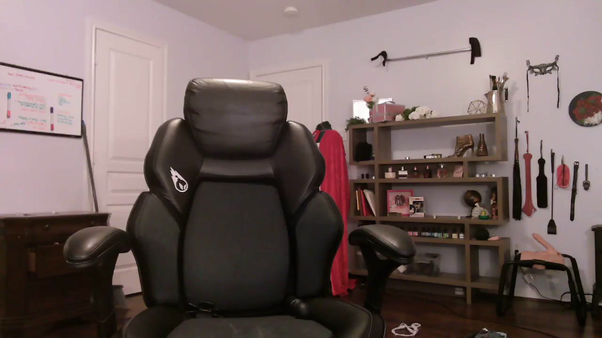 Gallery image thumbnail from Bunnydathug's myfreecams stream on, 11/10/2023, 12:16 image 12 of 20