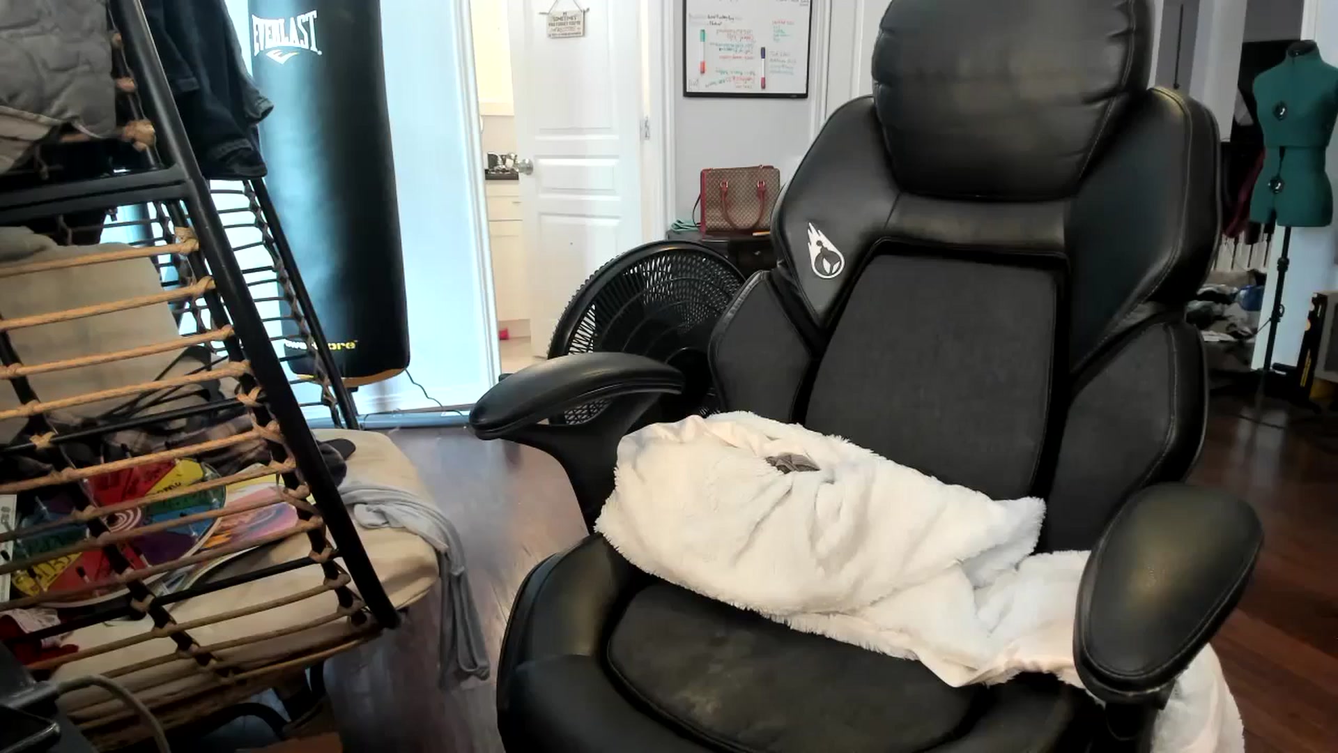 Gallery image thumbnail from Bunnydathug's myfreecams stream on, 11/21/2023, 18:23 image 14 of 20