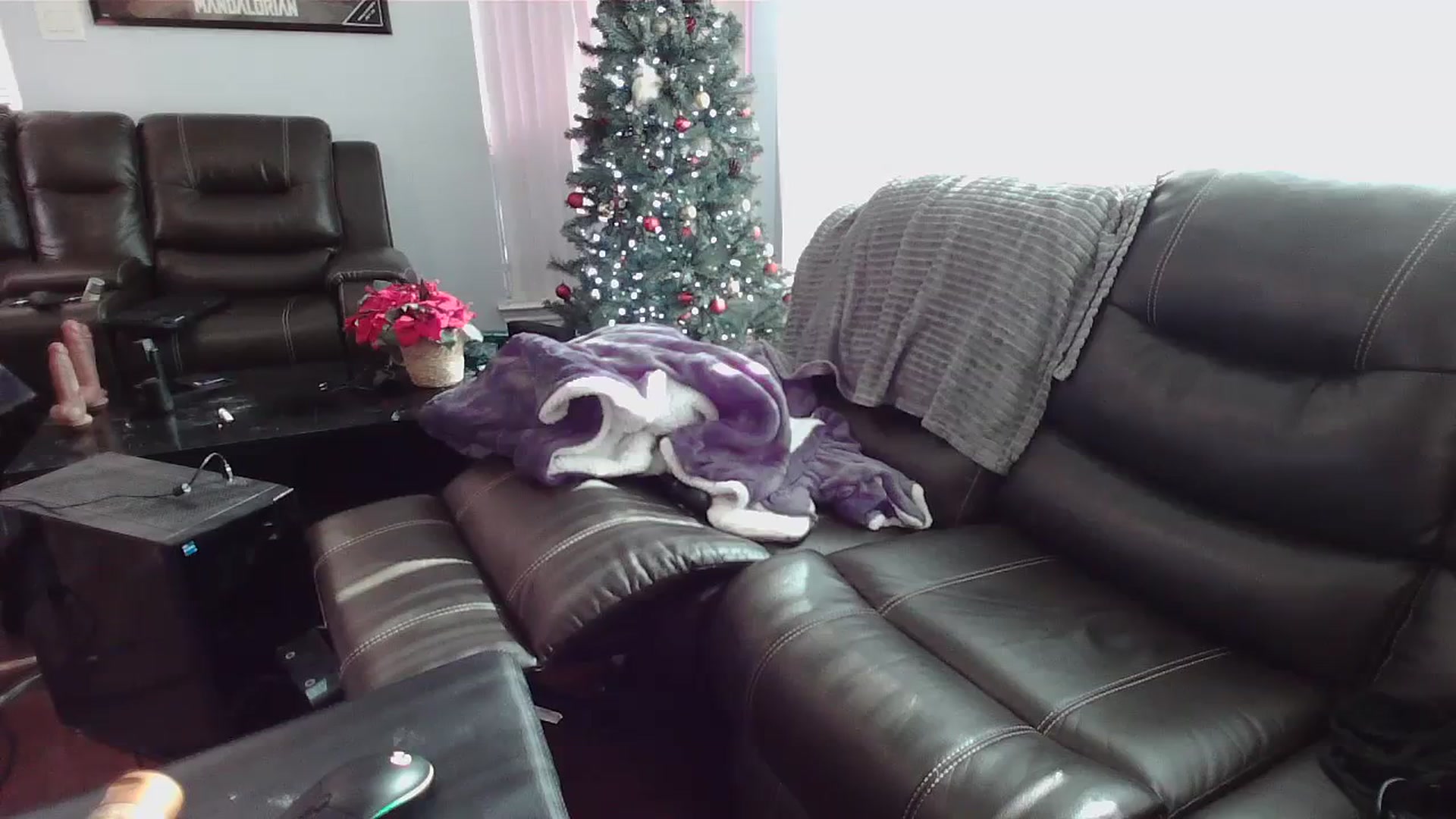 Gallery image thumbnail from Bunnydathug's myfreecams stream on, 12/20/2023, 18:13 image 6 of 20