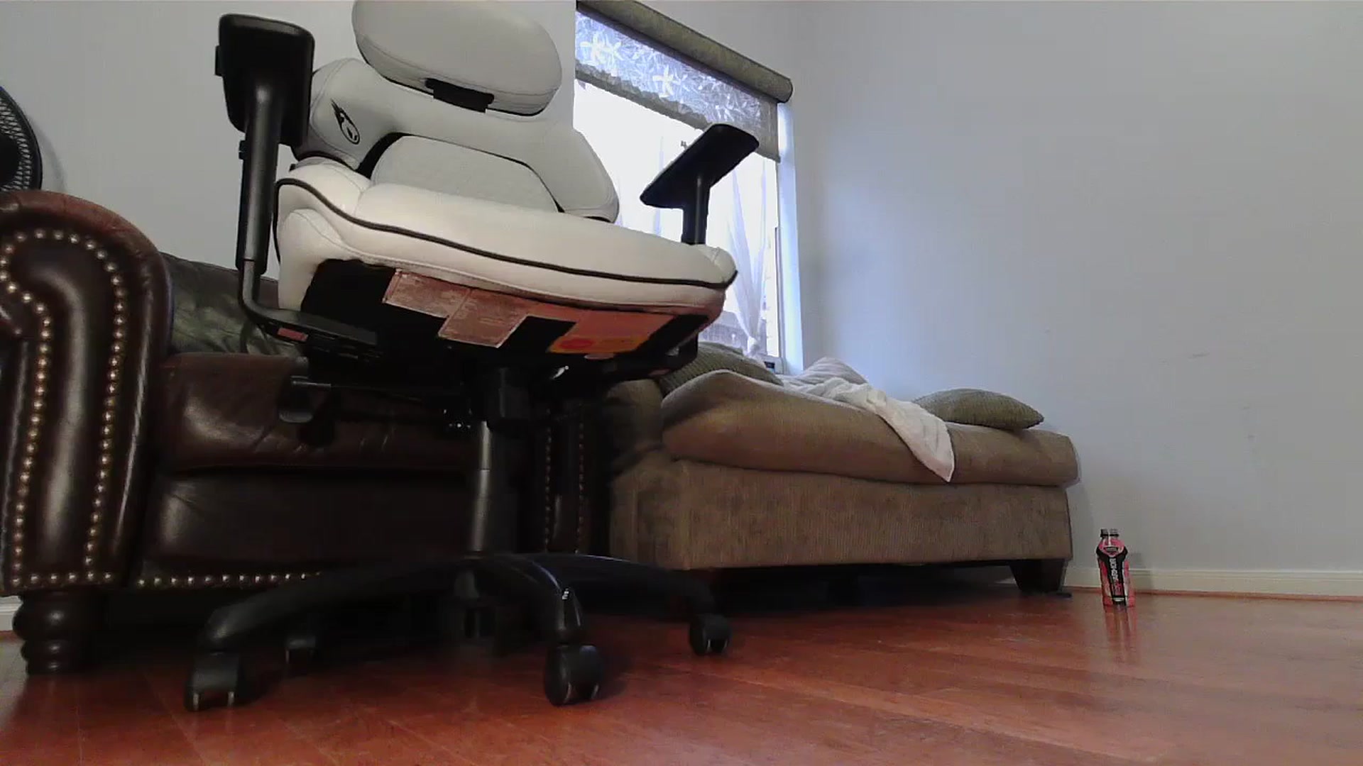 Gallery image thumbnail from Bunnydathug's myfreecams stream on, 01/02/2024, 17:21 image 6 of 20