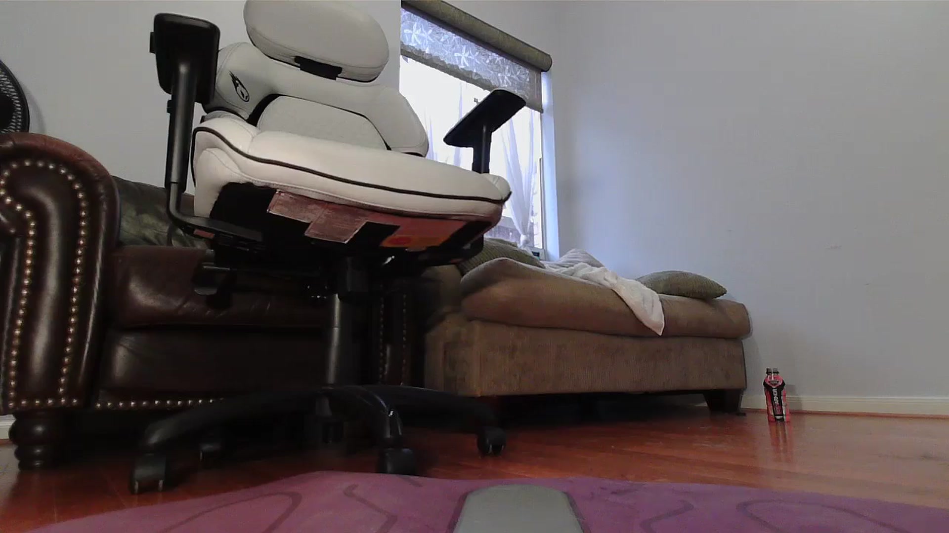 Gallery image thumbnail from Bunnydathug's myfreecams stream on, 01/02/2024, 17:21 image 7 of 20