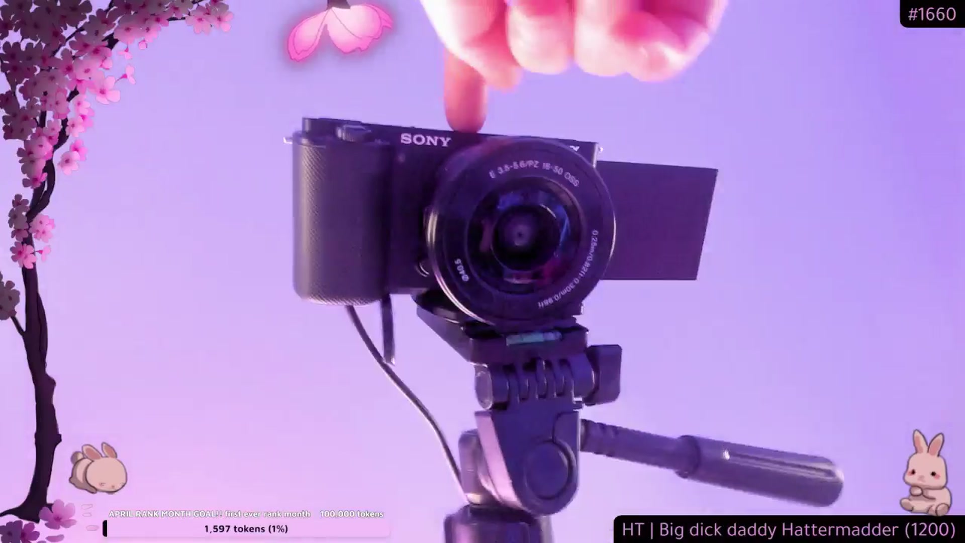 Gallery image thumbnail from Bunnyelena's myfreecams stream on, 04/07/2025, 07:15 image 20 of 20