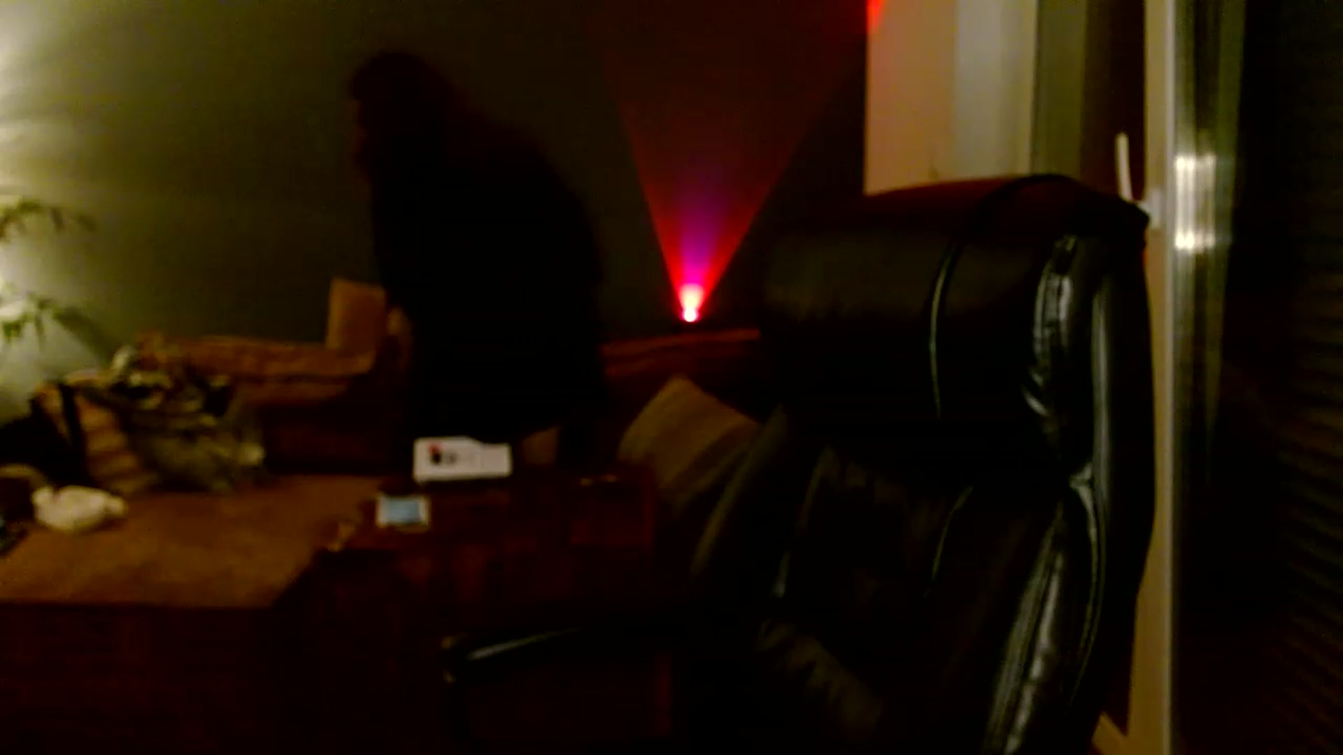 Gallery image thumbnail from Burlsquelena's myfreecams stream on, 06/22/2023, 21:31 image 3 of 20