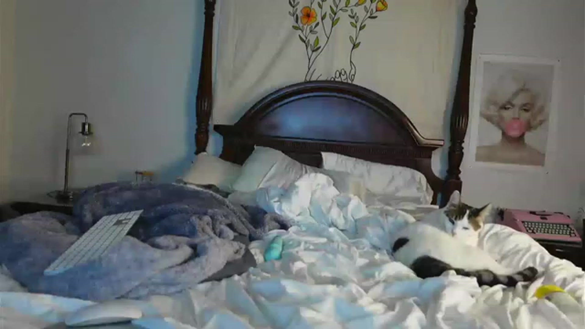 Gallery image thumbnail from BustyRedHeadx's myfreecams stream on, 02/10/2023, 07:53 image 12 of 20