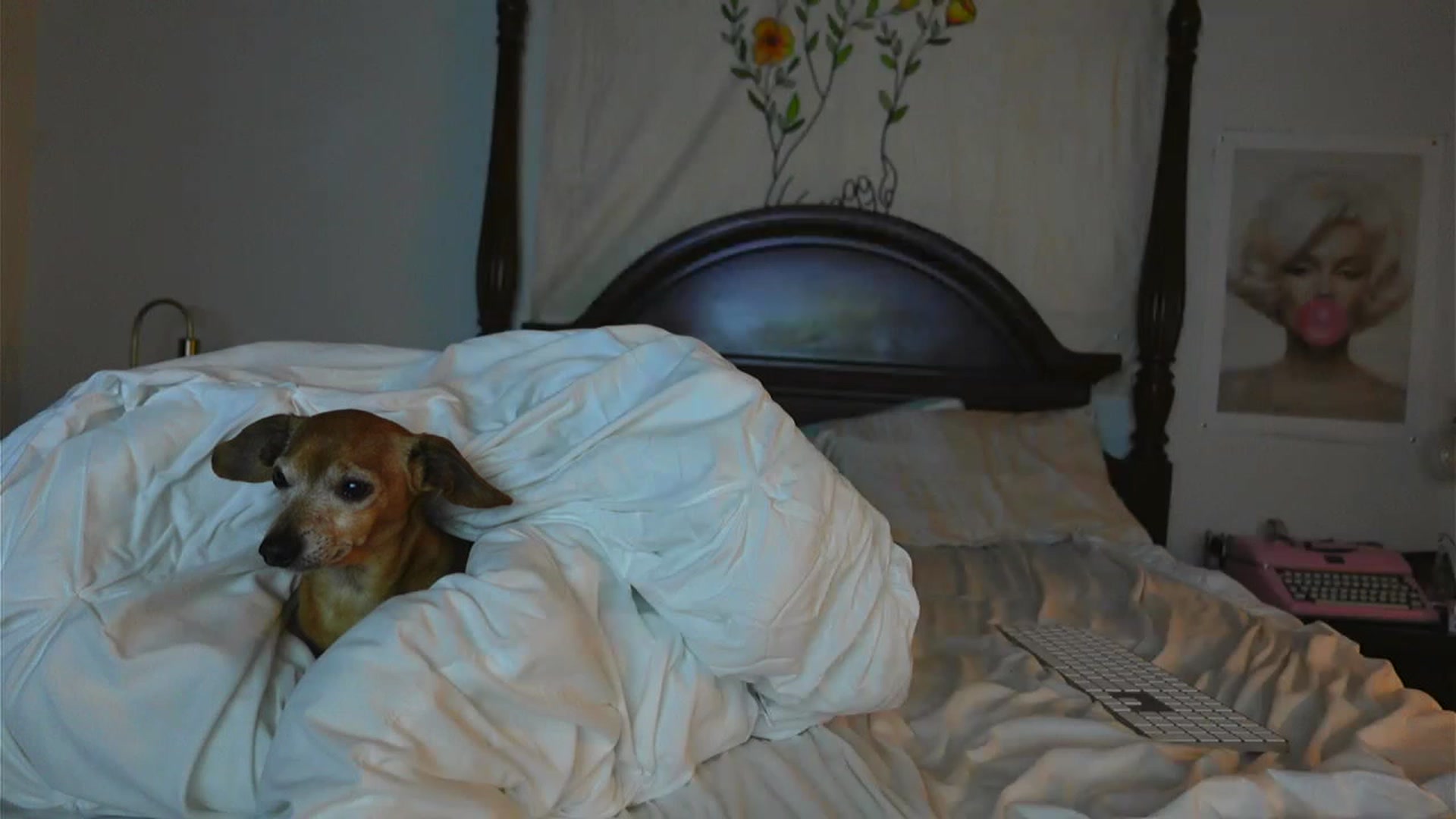 Gallery image thumbnail from BustyRedHeadx's myfreecams stream on, 05/18/2023, 08:14 image 15 of 20
