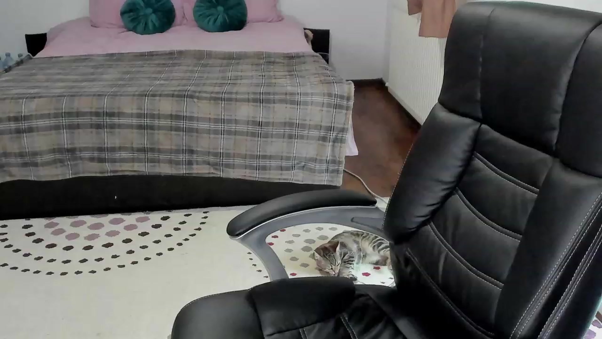 Gallery image thumbnail from Bustykatia's myfreecams stream on, 11/08/2023, 09:39 image 20 of 20