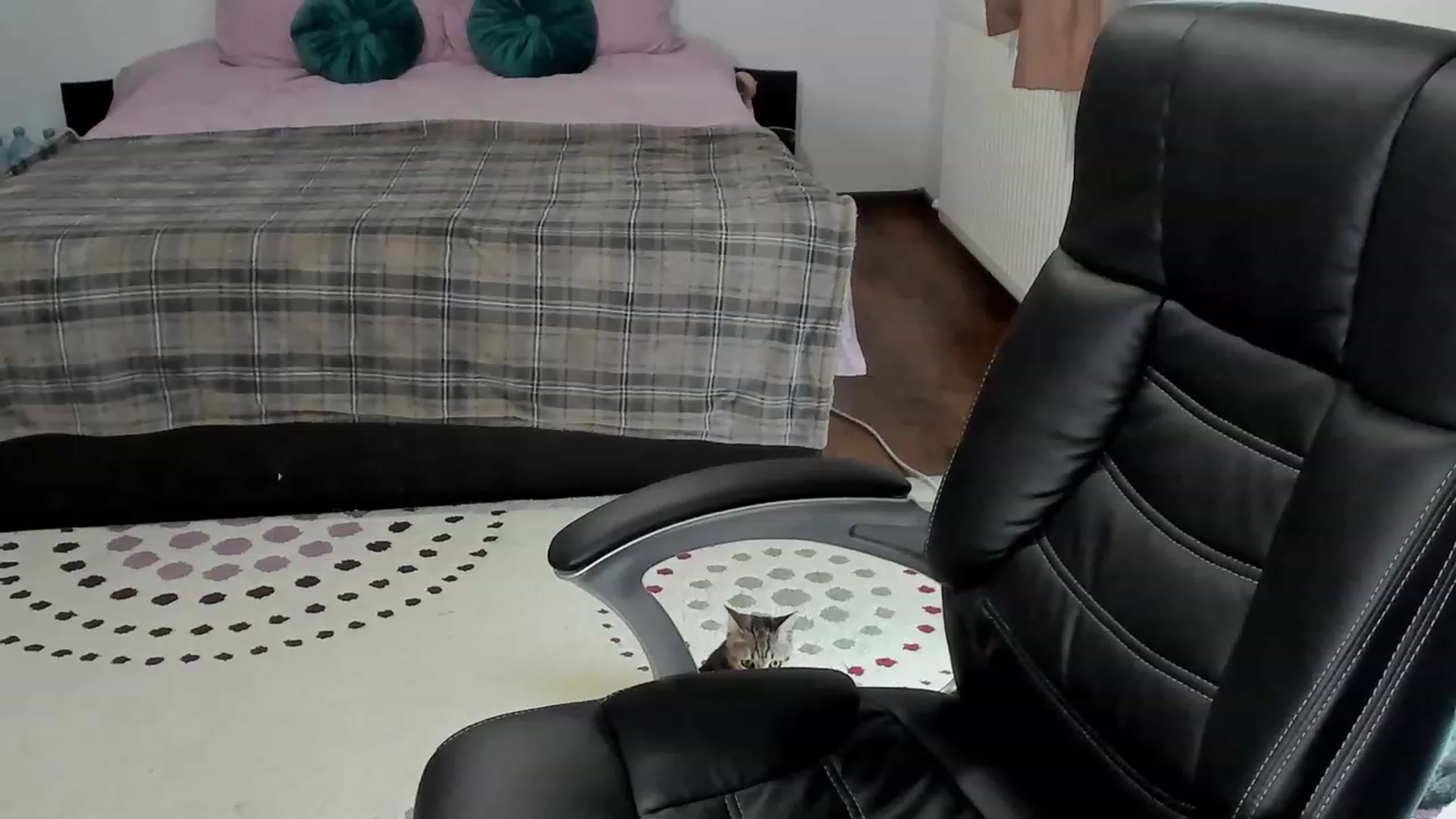 Gallery image thumbnail from Bustykatia's myfreecams stream on, 11/08/2023, 09:39 image 18 of 20