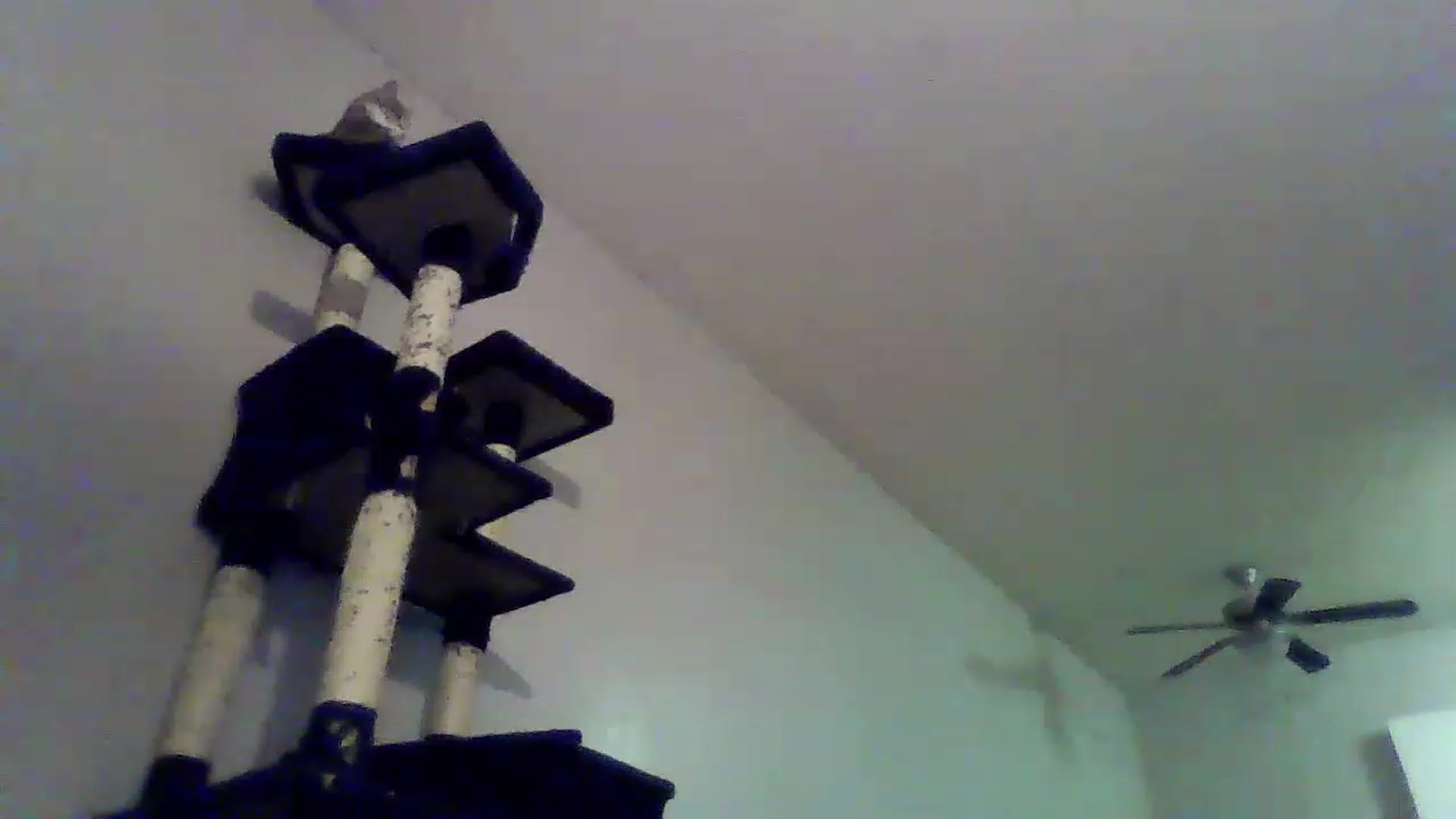 Gallery image thumbnail from Buttercupink's myfreecams stream on, 01/01/2023, 09:39 image 14 of 20