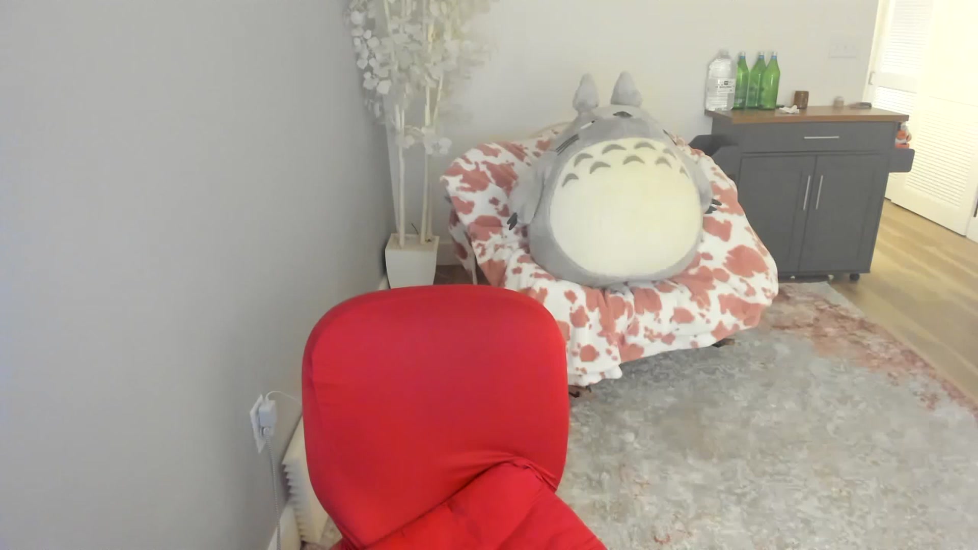 Gallery image thumbnail from BuyMeShoes's myfreecams stream on, 01/22/2023, 11:39 image 16 of 20