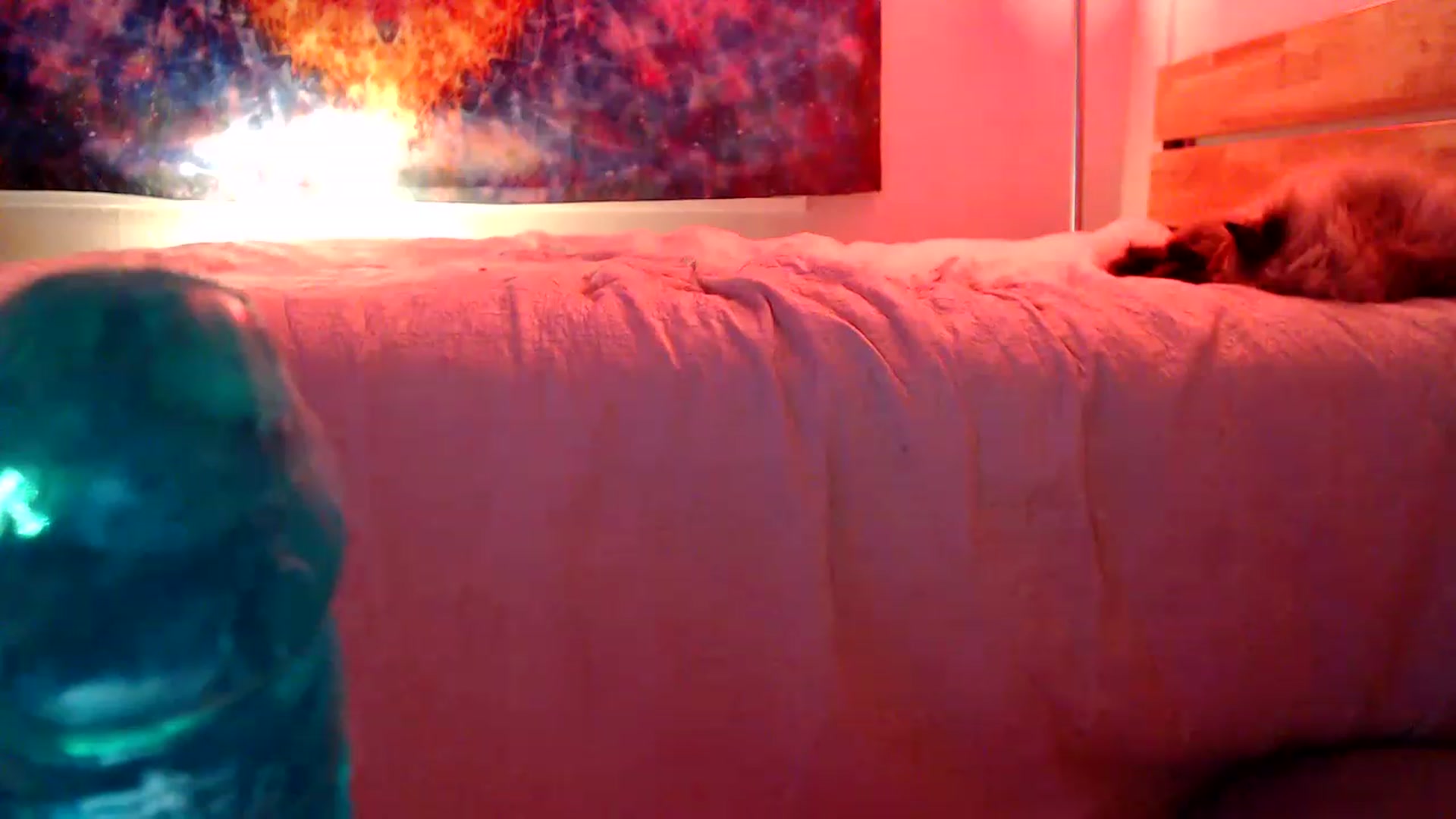 Gallery image thumbnail from CGjszie's myfreecams stream on, 01/19/2023, 08:44 image 15 of 20