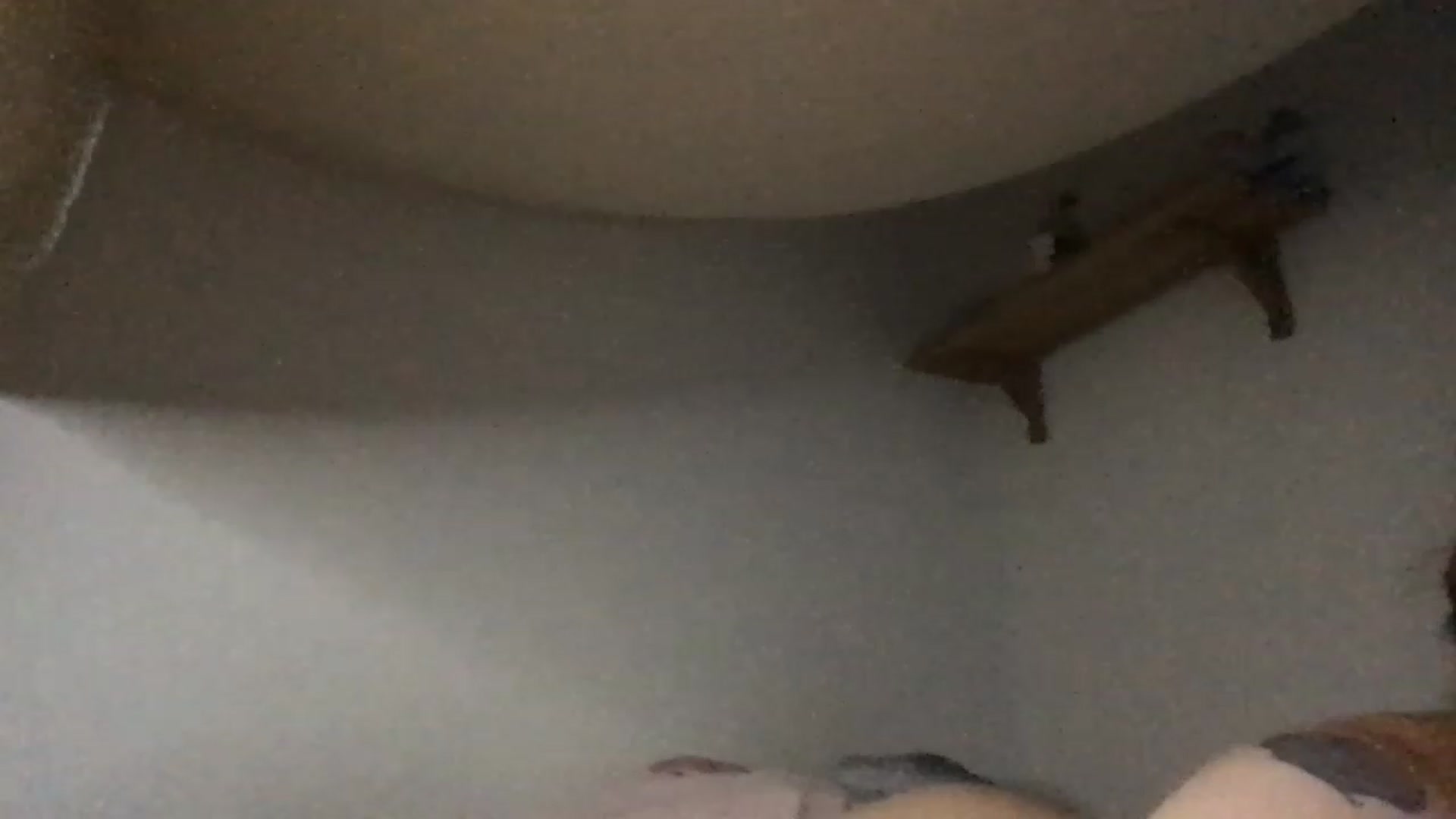 Gallery image thumbnail from CHRISTINUHM's myfreecams stream on, 01/09/2023, 04:15 image 6 of 20