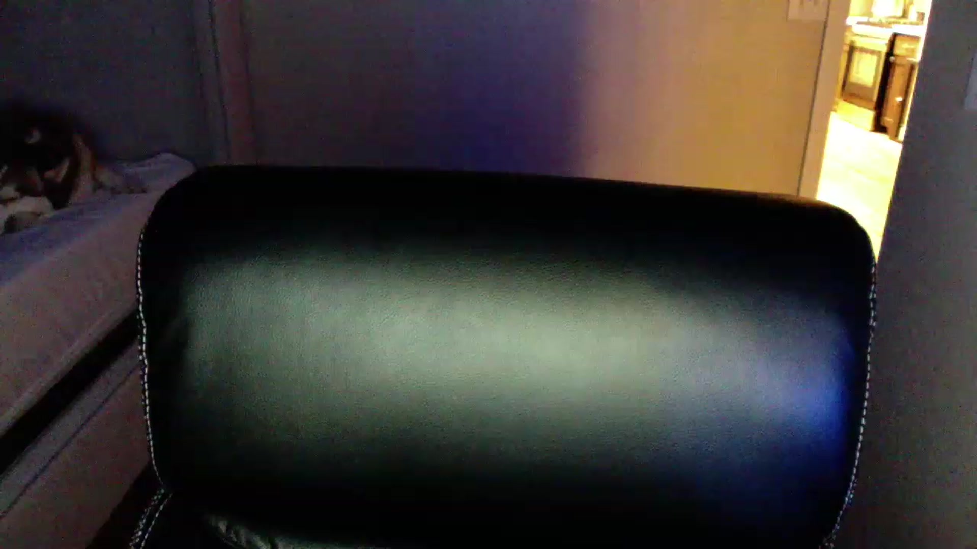 Gallery image thumbnail from CLARABENE's myfreecams stream on, 11/20/2022, 04:34 image 14 of 20