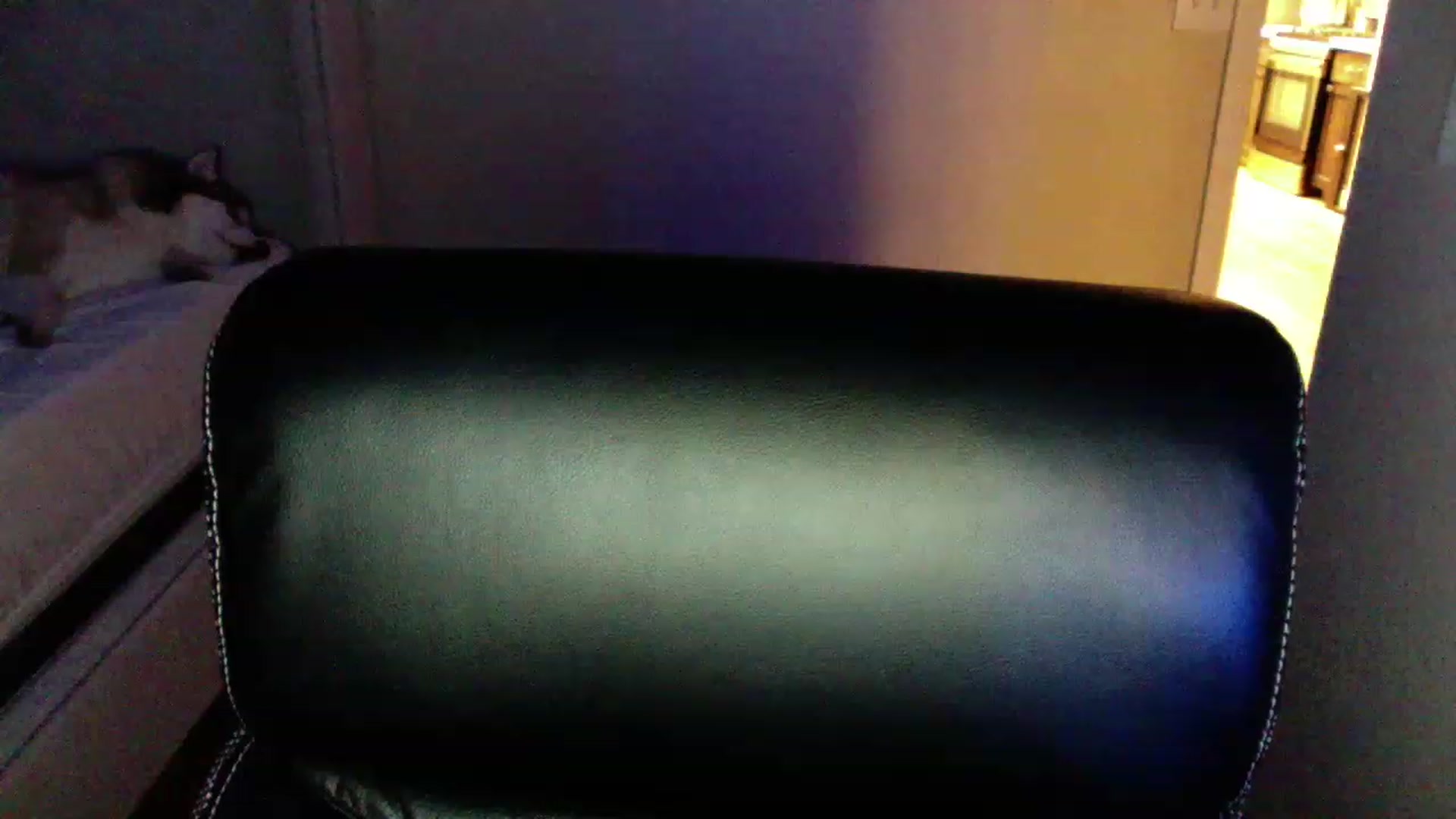 Gallery image thumbnail from CLARABENE's myfreecams stream on, 11/20/2022, 04:34 image 16 of 20