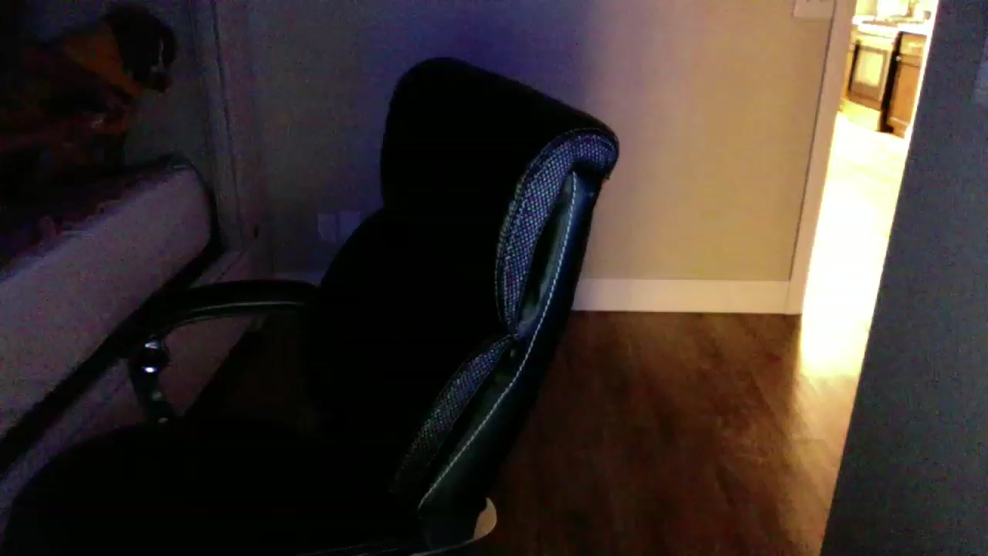 Gallery image thumbnail from CLARABENE's myfreecams stream on, 11/25/2022, 02:46 image 20 of 20