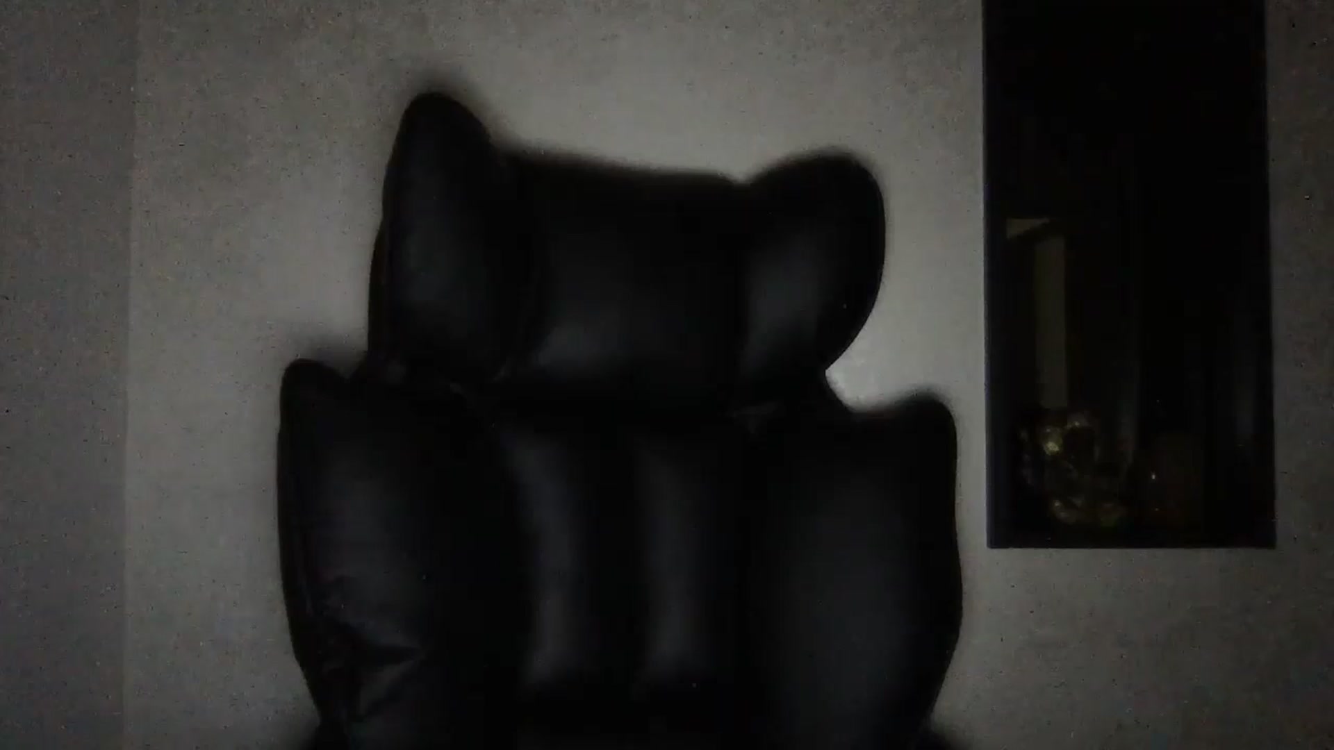 Gallery image thumbnail from CLARABENE's myfreecams stream on, 11/27/2024, 13:21 image 2 of 20