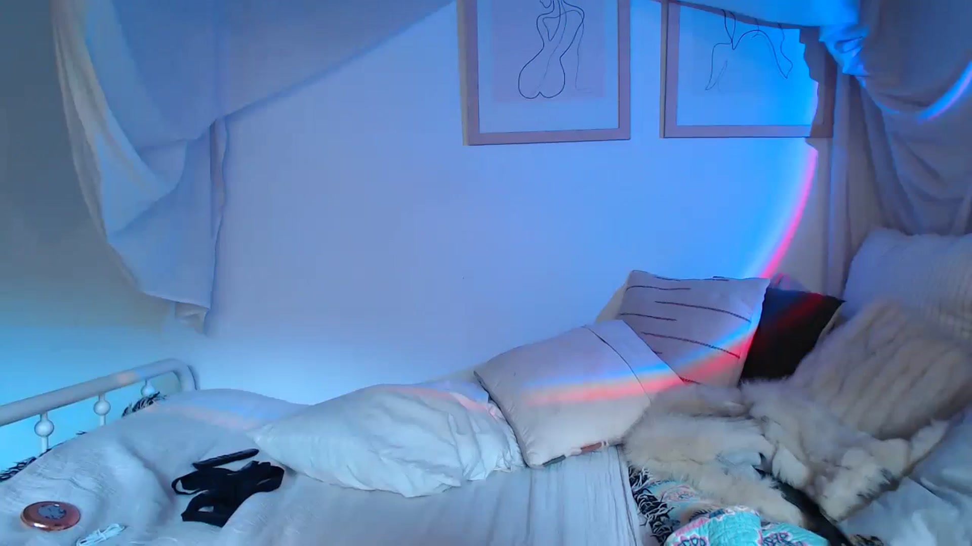 Gallery image thumbnail from CaItlinnn_'s myfreecams stream on, 10/22/2023, 19:37 image 3 of 20