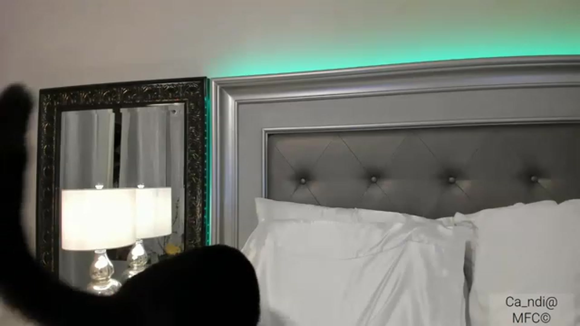 Gallery image thumbnail from Ca_ndi's myfreecams stream on, 12/24/2022, 17:20 image 4 of 20
