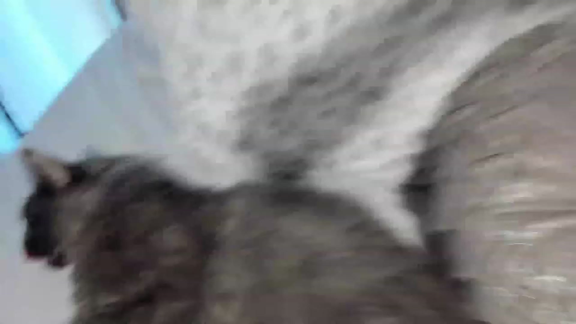 Gallery image thumbnail from Ca_ndi's myfreecams stream on, 02/14/2023, 16:29 image 5 of 20