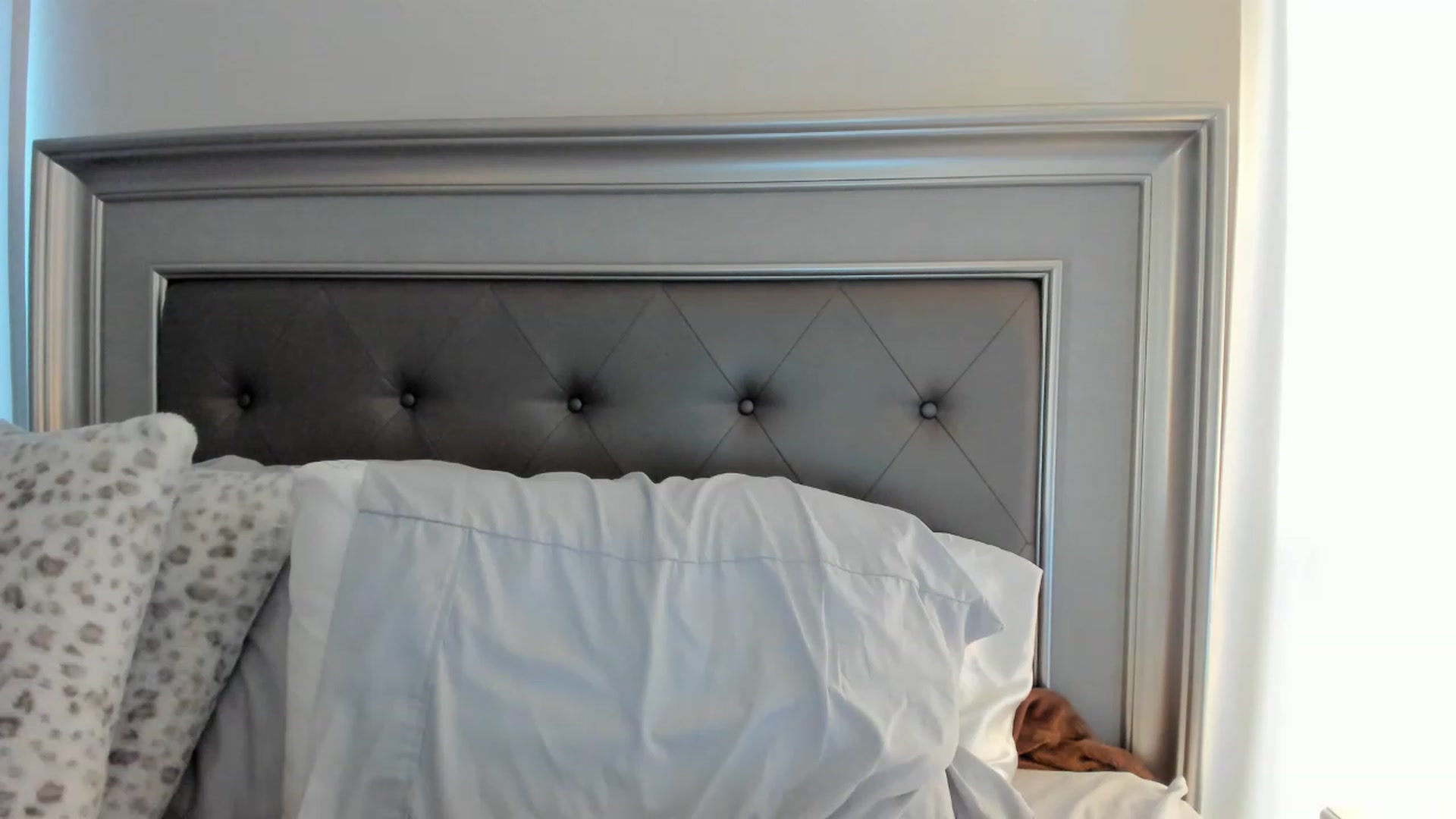 Gallery image thumbnail from Ca_ndi's myfreecams stream on, 02/22/2023, 23:37 image 2 of 20