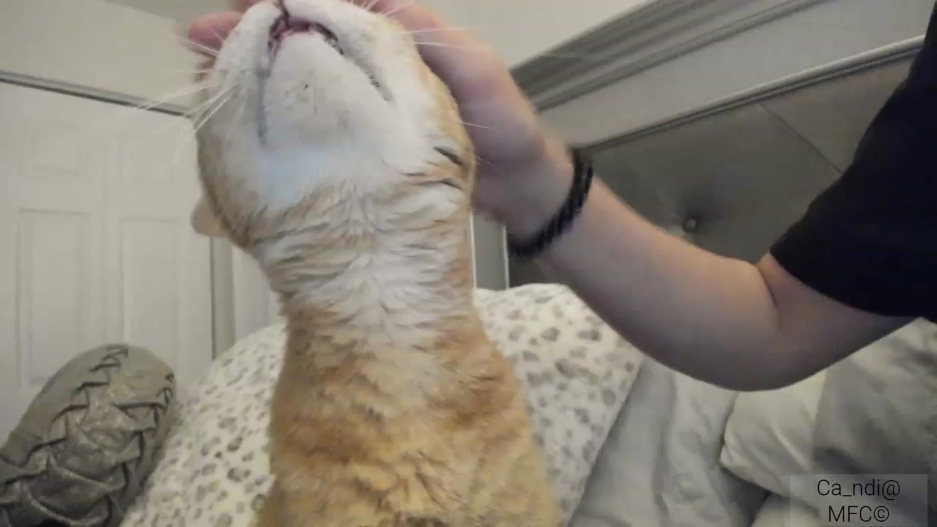 Gallery image thumbnail from Ca_ndi's myfreecams stream on, 03/04/2023, 10:08 image 14 of 20