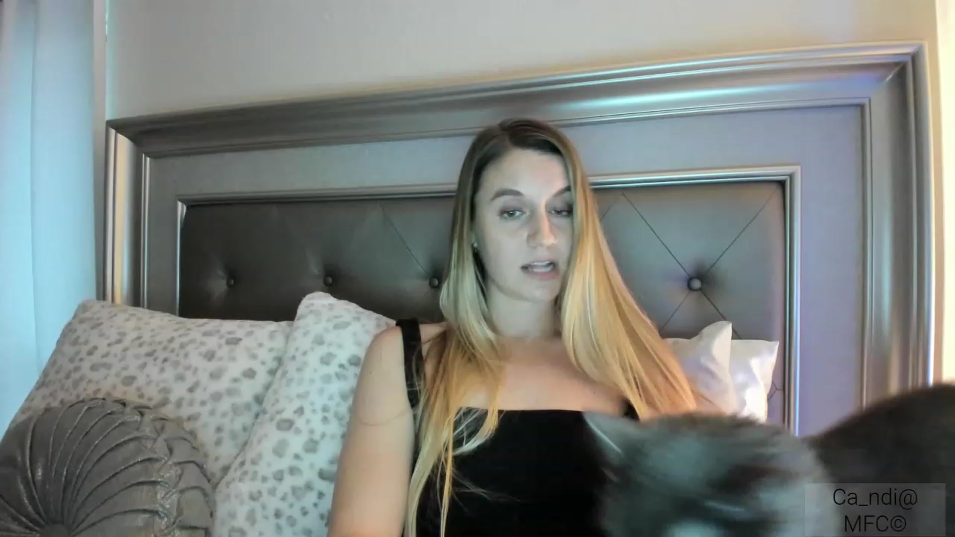 Gallery image thumbnail from Ca_ndi's myfreecams stream on, 03/05/2023, 24:22 image 8 of 20