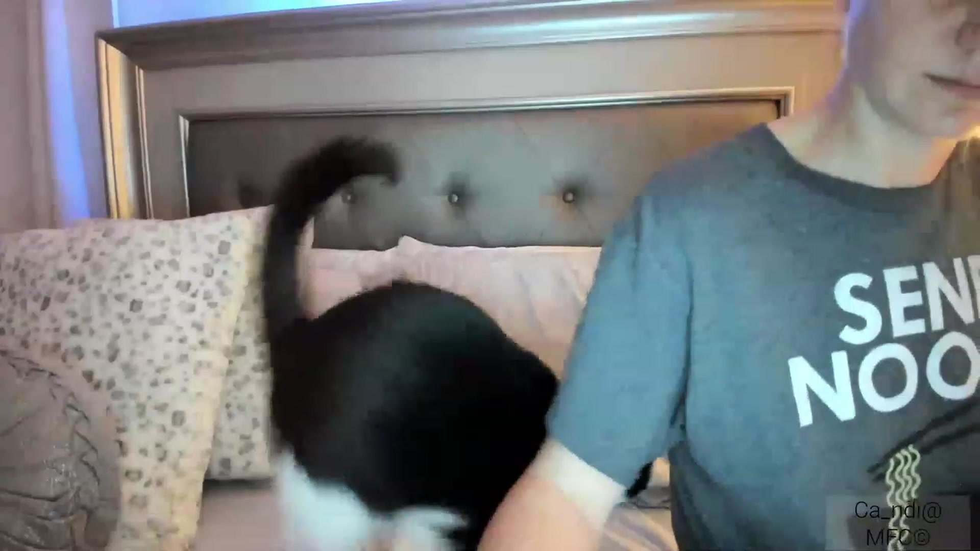 Gallery image thumbnail from Ca_ndi's myfreecams stream on, 03/07/2023, 03:40 image 19 of 20