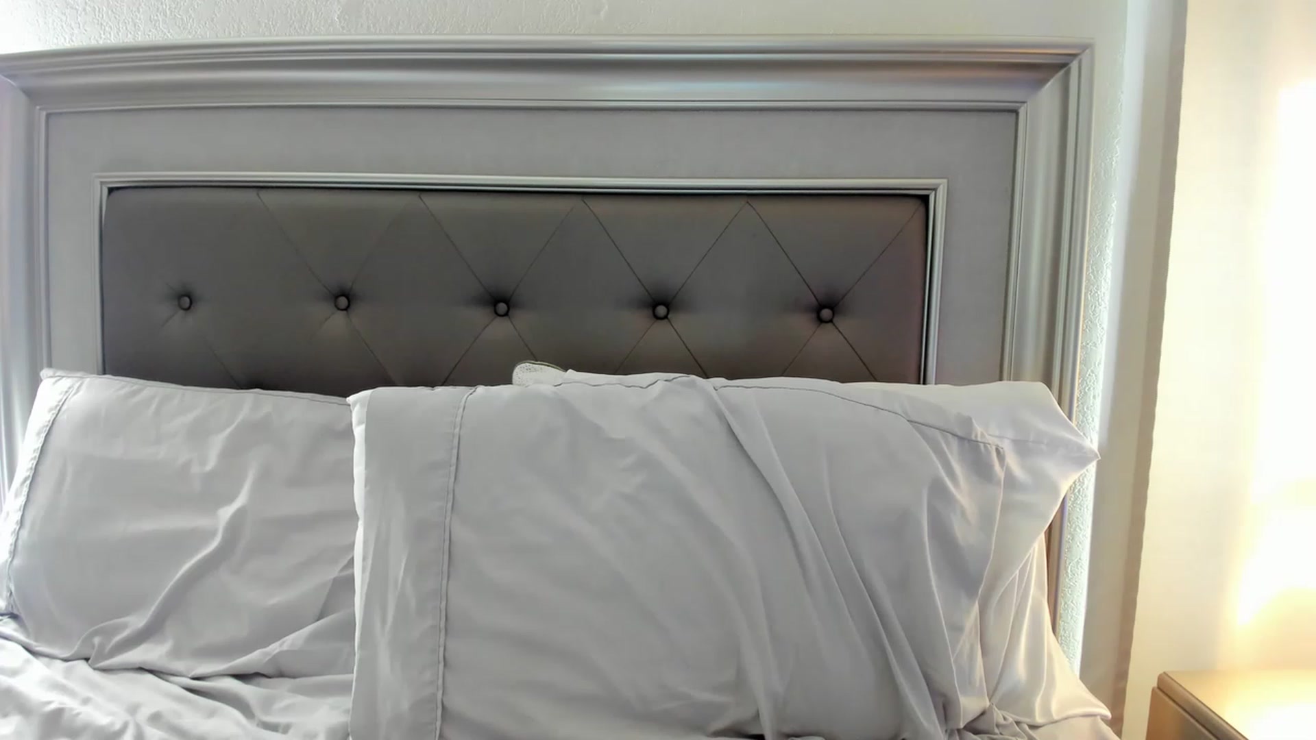 Gallery image thumbnail from Ca_ndi's myfreecams stream on, 05/21/2023, 13:35 image 20 of 20