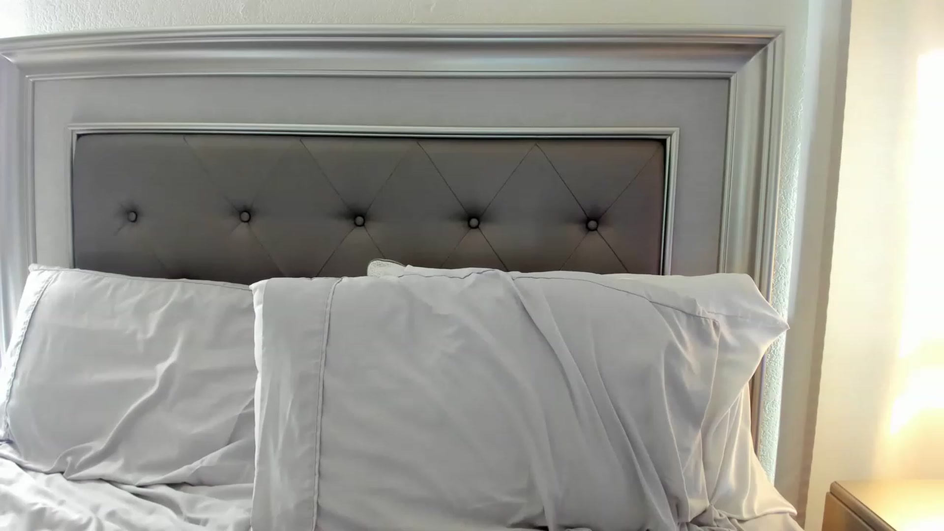 Gallery image thumbnail from Ca_ndi's myfreecams stream on, 05/21/2023, 13:35 image 19 of 20