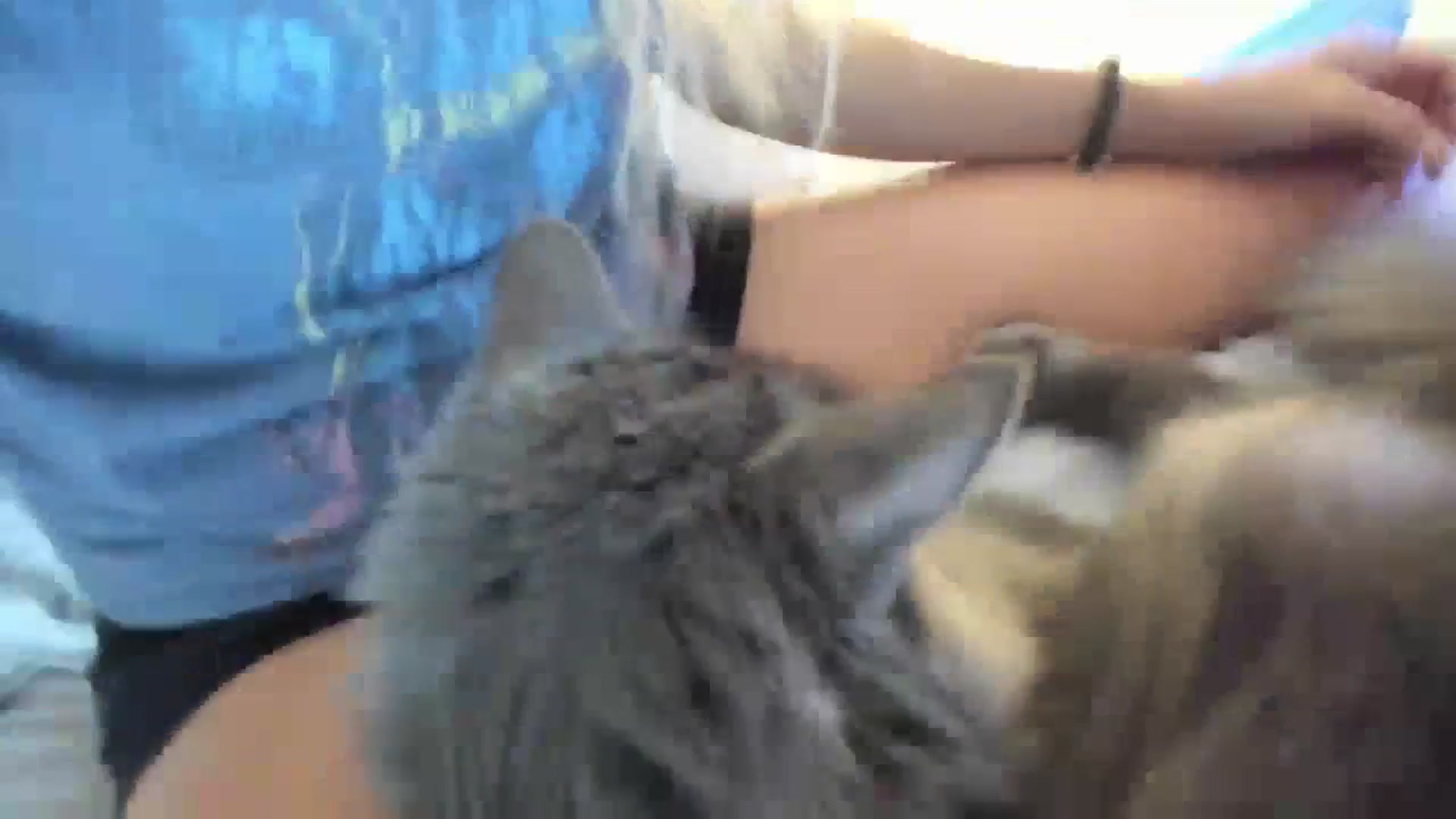 Gallery image thumbnail from Ca_ndi's myfreecams stream on, 07/16/2023, 12:48 image 16 of 20