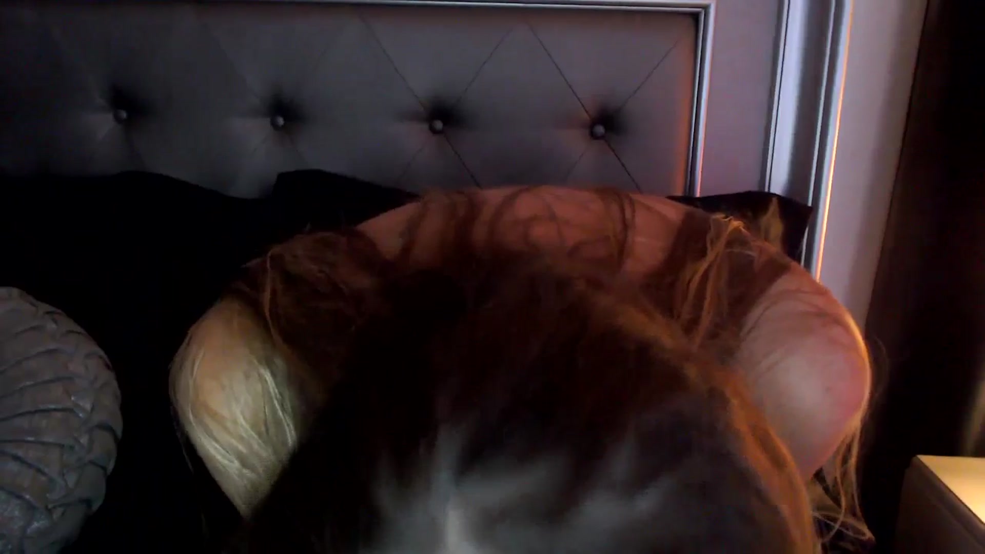 Gallery image thumbnail from Ca_ndi's myfreecams stream on, 09/17/2023, 17:42 image 8 of 20