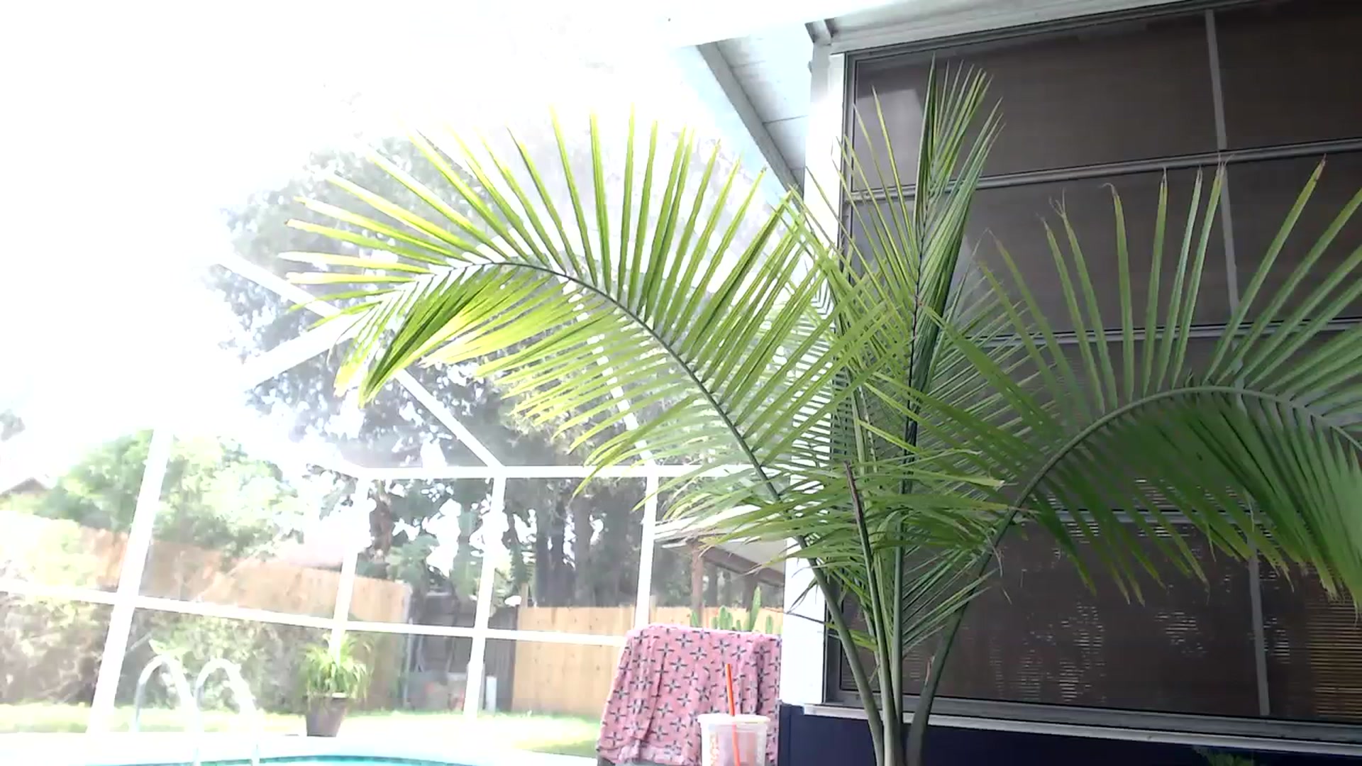 Gallery image thumbnail from Ca_ndi's myfreecams stream on, 09/24/2023, 18:38 image 16 of 20