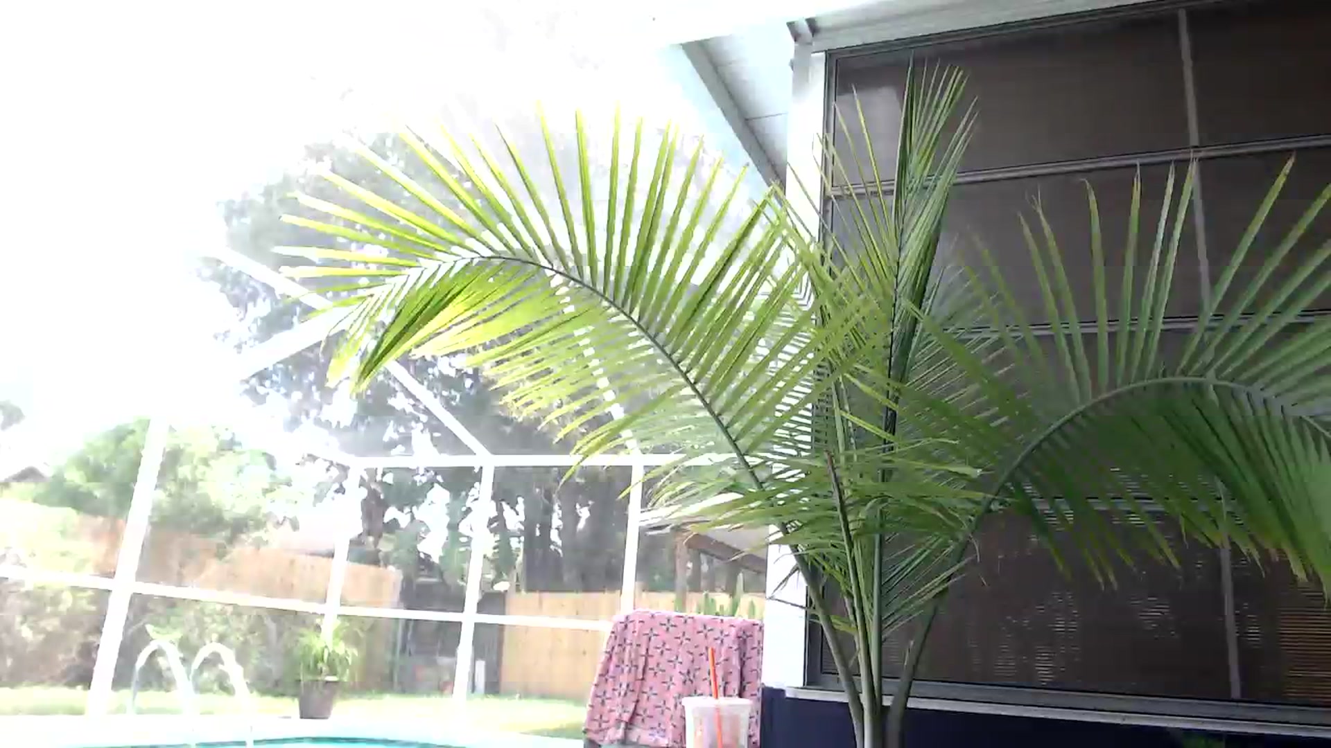 Gallery image thumbnail from Ca_ndi's myfreecams stream on, 09/24/2023, 18:38 image 14 of 20