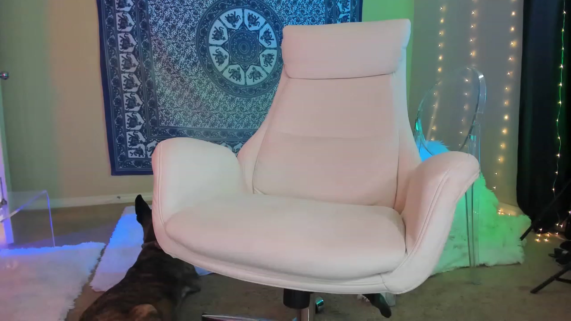 Gallery image thumbnail from CaliPassion's myfreecams stream on, 11/17/2022, 04:05 image 3 of 20