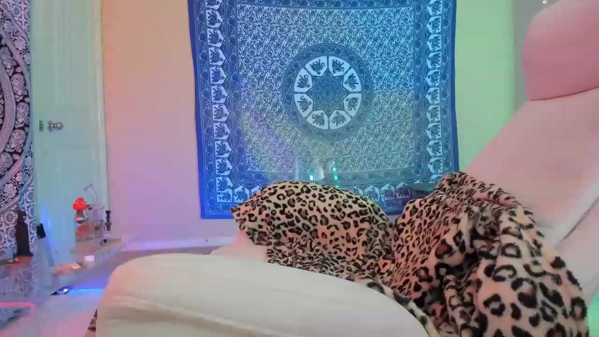 Gallery image thumbnail from CaliPassion's myfreecams stream on, 11/17/2022, 22:11 image 8 of 20