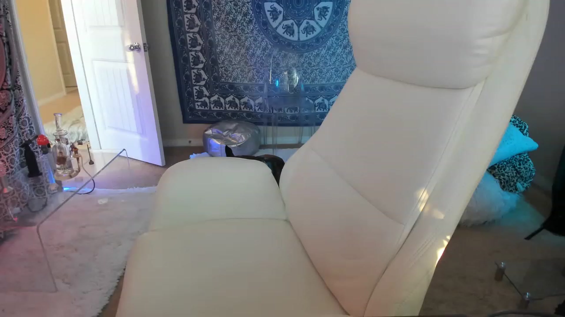 Gallery image thumbnail from CaliPassion's myfreecams stream on, 11/24/2022, 04:06 image 2 of 20