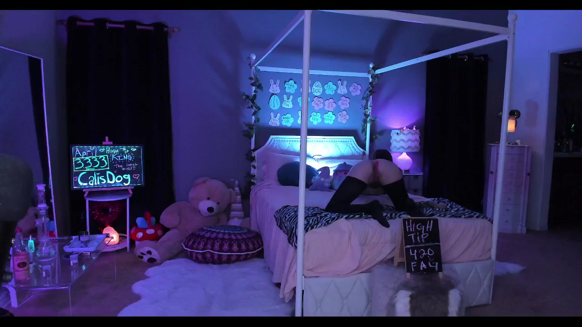 Gallery image thumbnail from CaliPassion's myfreecams stream on, 05/07/2025, 03:37 image 17 of 20