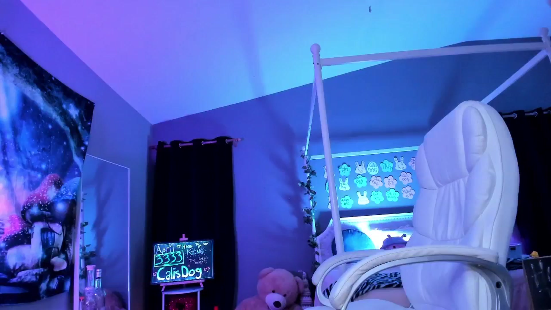 Gallery image thumbnail from CaliPassion's myfreecams stream on, 05/10/2025, 04:44 image 5 of 20
