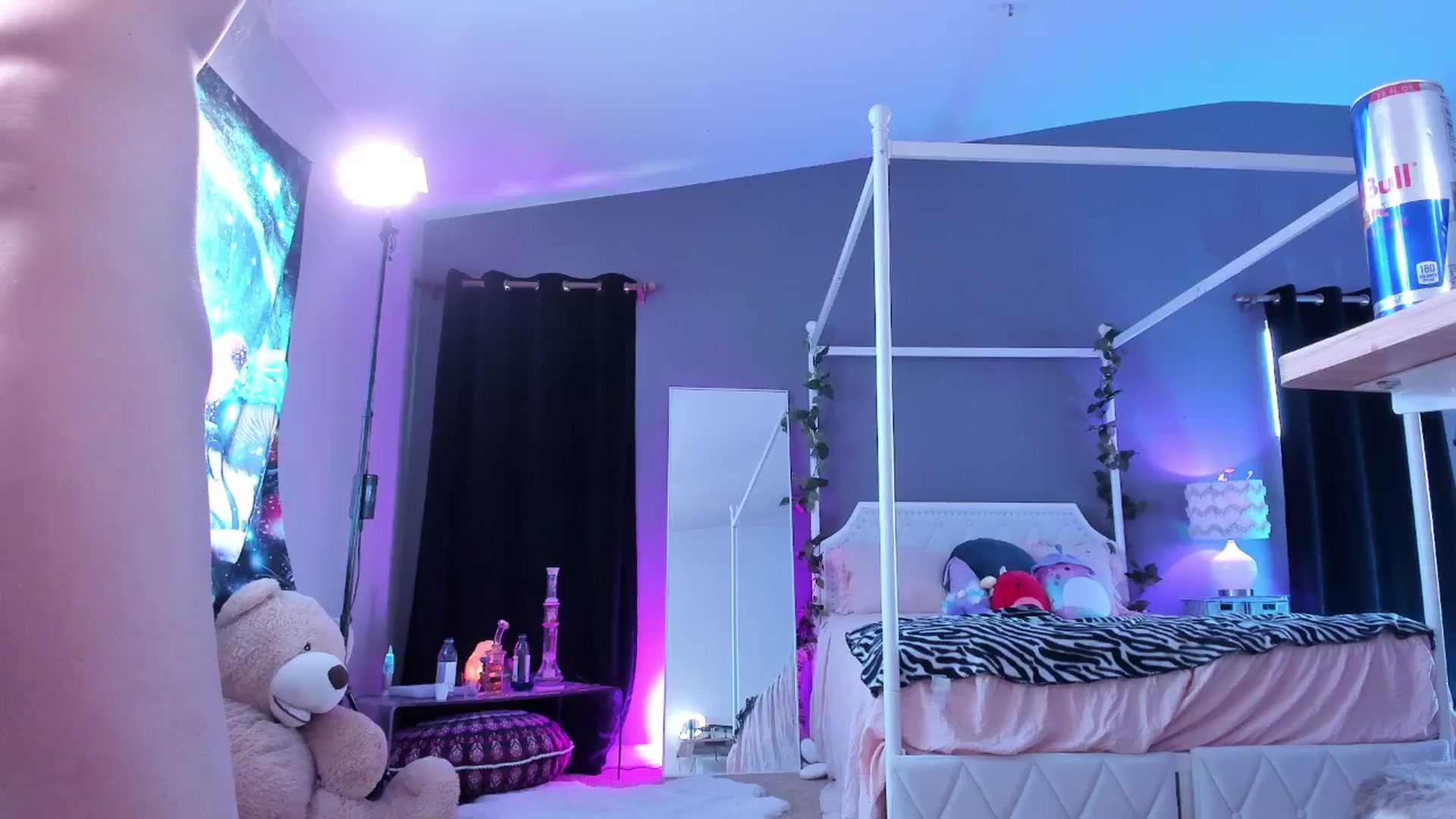 Gallery image thumbnail from CaliPassion's myfreecams stream on, 06/13/2025, 24:02 image 14 of 20