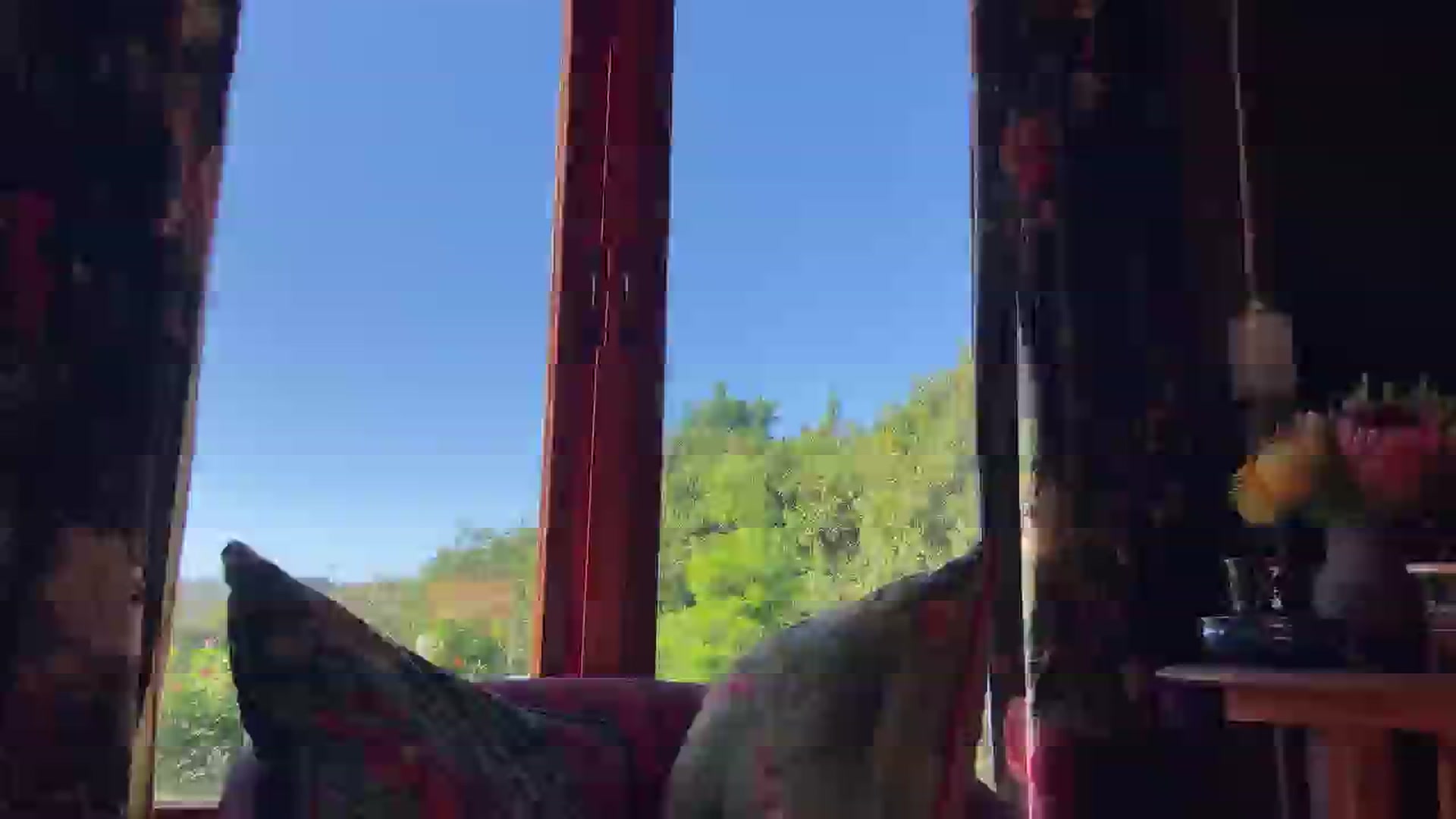 Gallery image thumbnail from Cali_Ode's myfreecams stream on, 10/15/2024, 06:18 image 11 of 20
