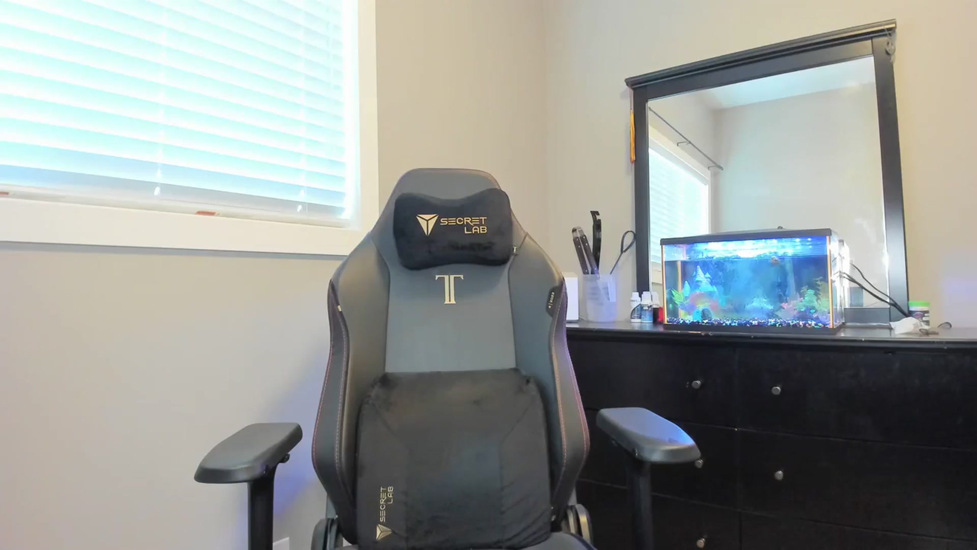 Gallery image thumbnail from Caliii's myfreecams stream on, 01/16/2024, 18:39 image 11 of 20