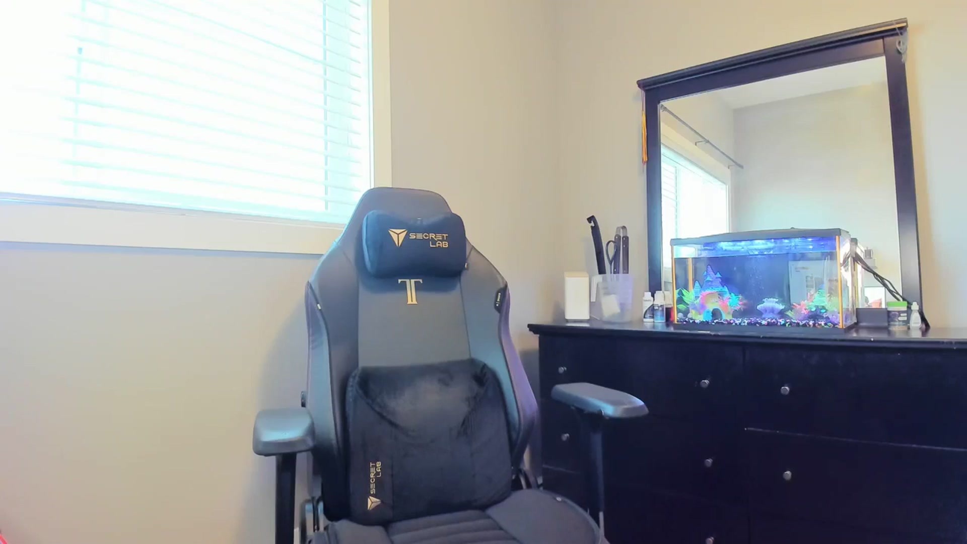 Gallery image thumbnail from Caliii's myfreecams stream on, 02/01/2024, 18:04 image 15 of 20