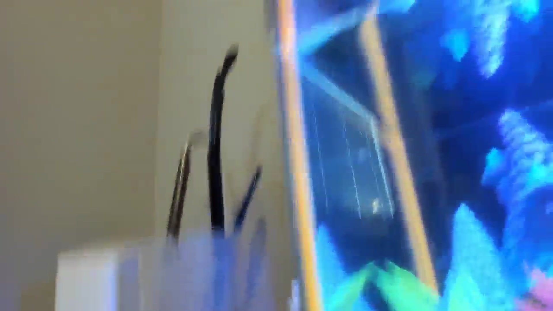 Gallery image thumbnail from Caliii's myfreecams stream on, 02/08/2024, 18:22 image 9 of 20