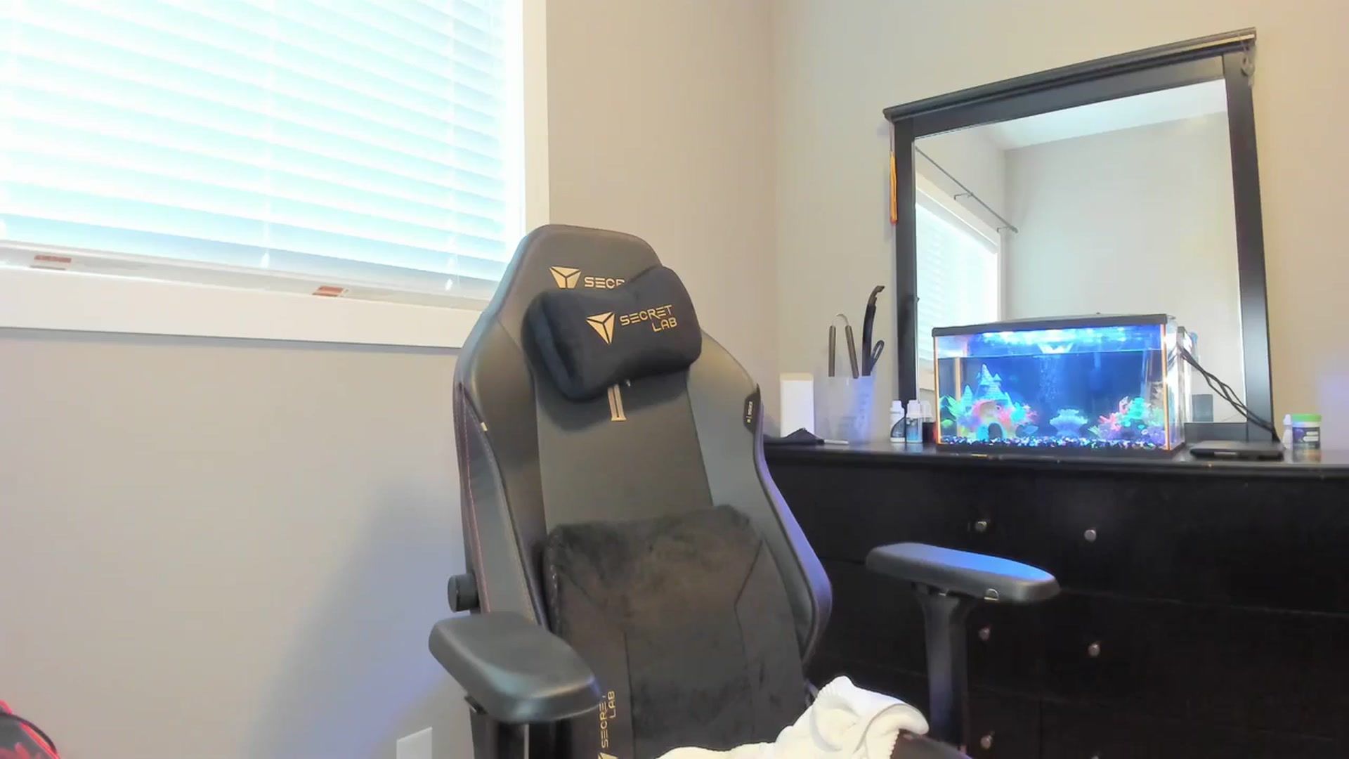 Gallery image thumbnail from Caliii's myfreecams stream on, 02/08/2024, 18:22 image 12 of 20