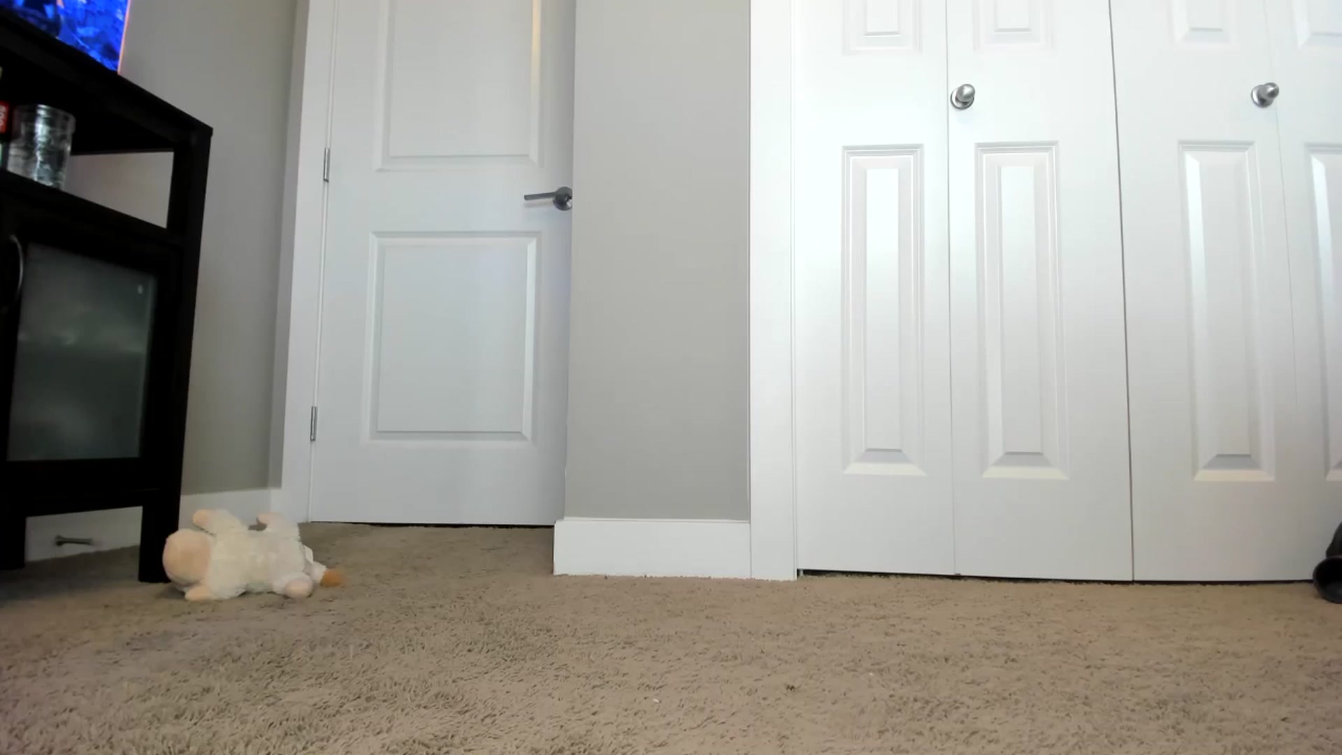 Gallery image thumbnail from Caliii's myfreecams stream on, 05/22/2024, 21:54 image 18 of 20