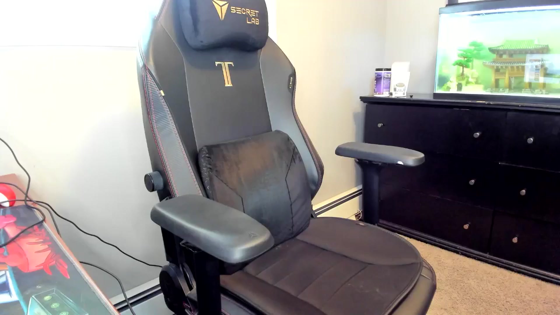 Gallery image thumbnail from Caliii's myfreecams stream on, 06/25/2024, 17:45 image 12 of 20