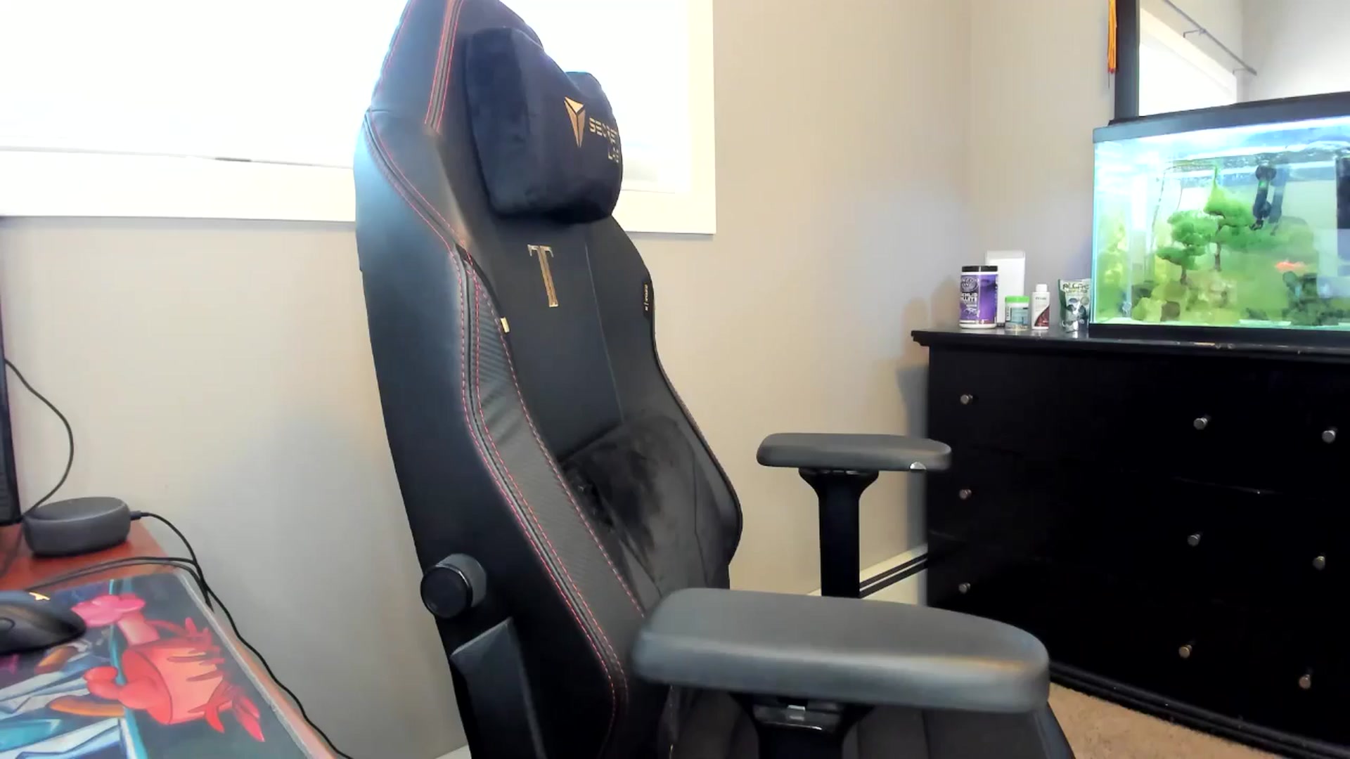 Gallery image thumbnail from Caliii's myfreecams stream on, 08/14/2024, 19:22 image 1 of 20